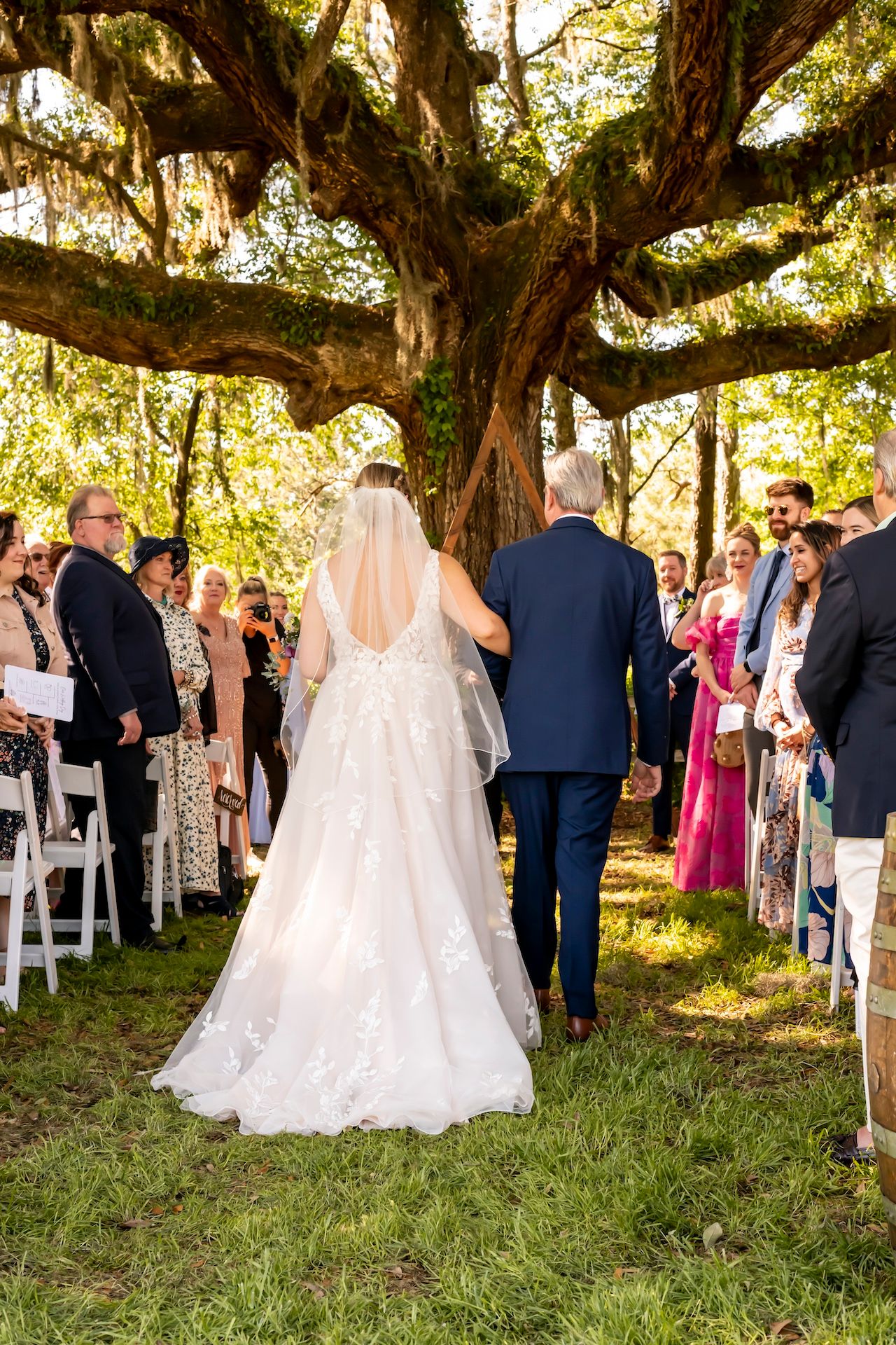Wedding guests mingle beneath moss-covered oak trees during an outdoor reception ceremony.