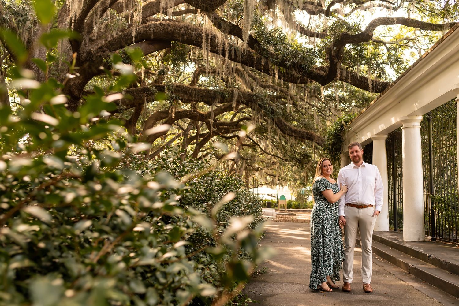 A scenic tree-lined walkway with Spanish moss hanging from branches on a sunny afternoon.