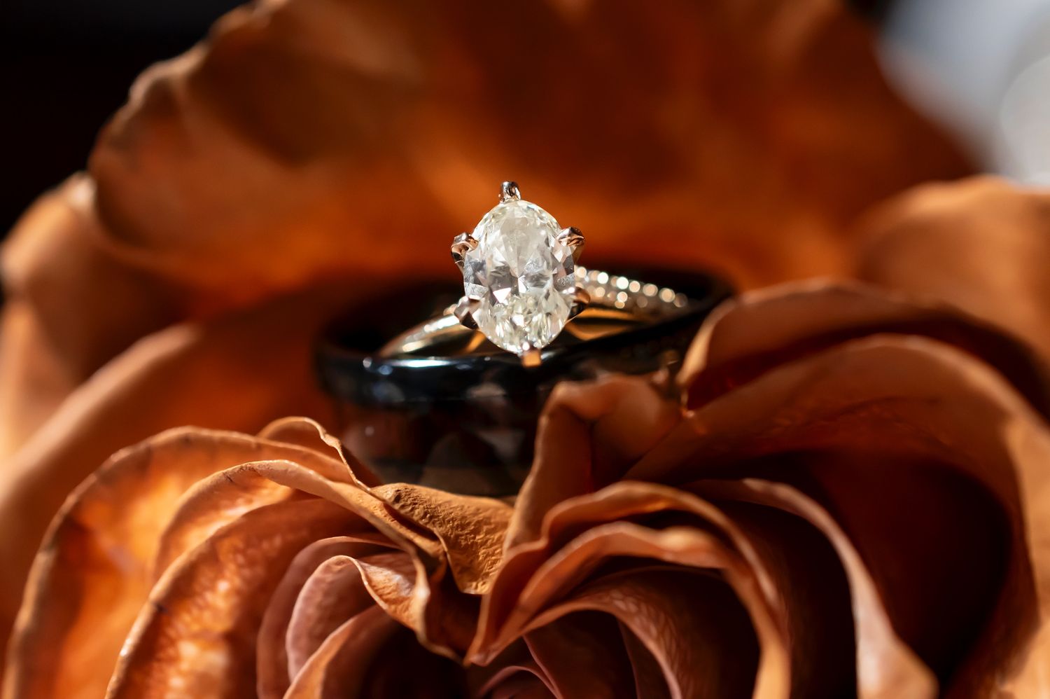 A sparkling diamond solitaire engagement ring photographed in macro detail against a backdrop of brown rose petals.