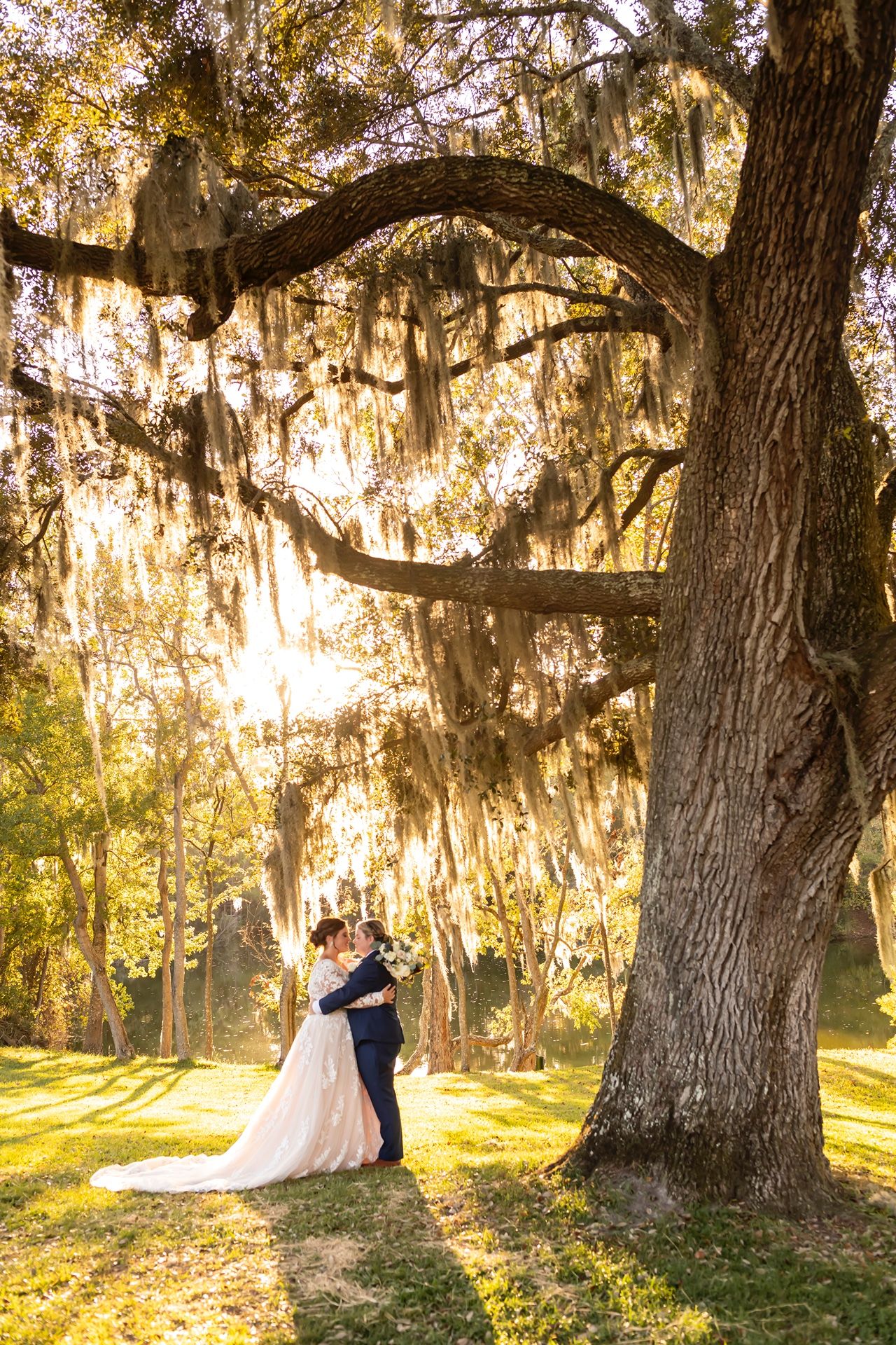 Sunlight streams through Spanish moss on a majestic oak tree as couple embraces beneath its sweeping branches.