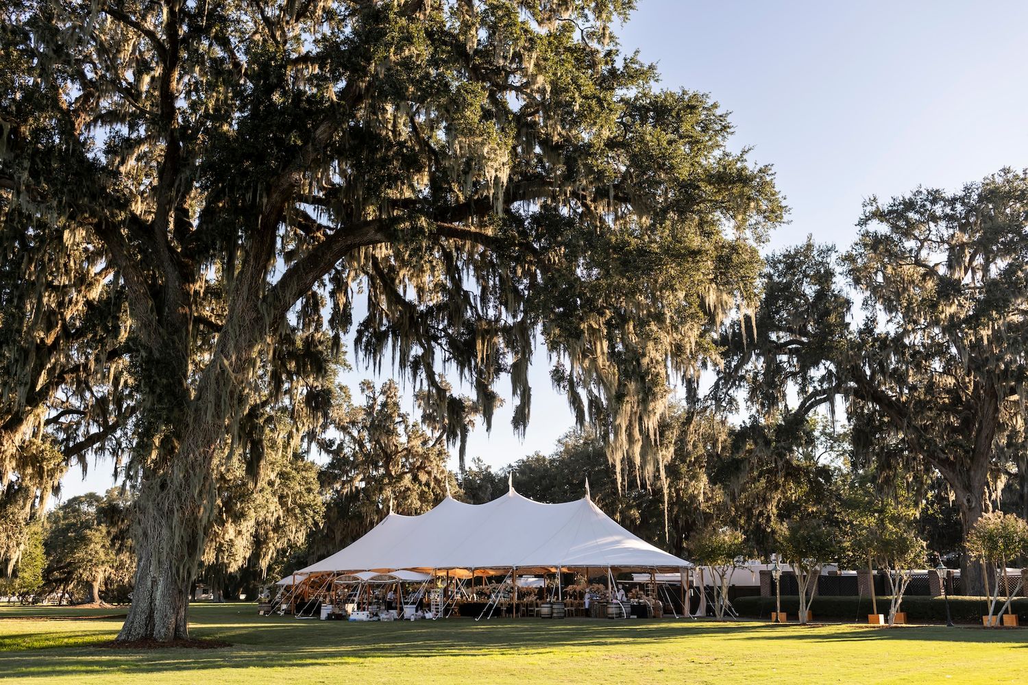 Panoramic view of a golf course with Spanish moss hanging from oak trees at sunset in the warm golden light.