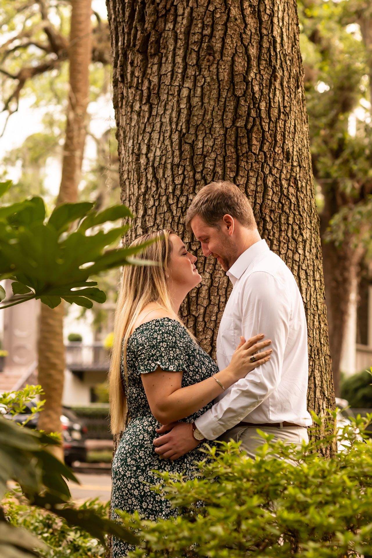 A romantic couple shares intimate moments beneath a large tree in a series of outdoor photos.