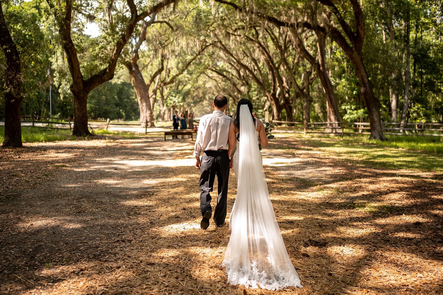 Two people celebrate their wedding day walking through a tunnel of oak trees with dappled sunlight in a romantic setting.