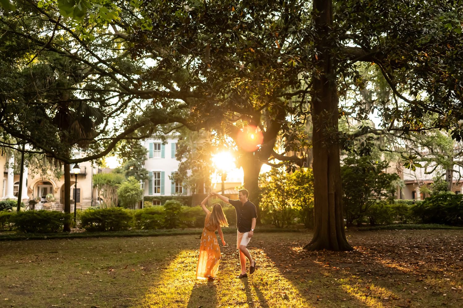 Golden sunlight streams through trees in a park as a person and dog walk together at sunset.