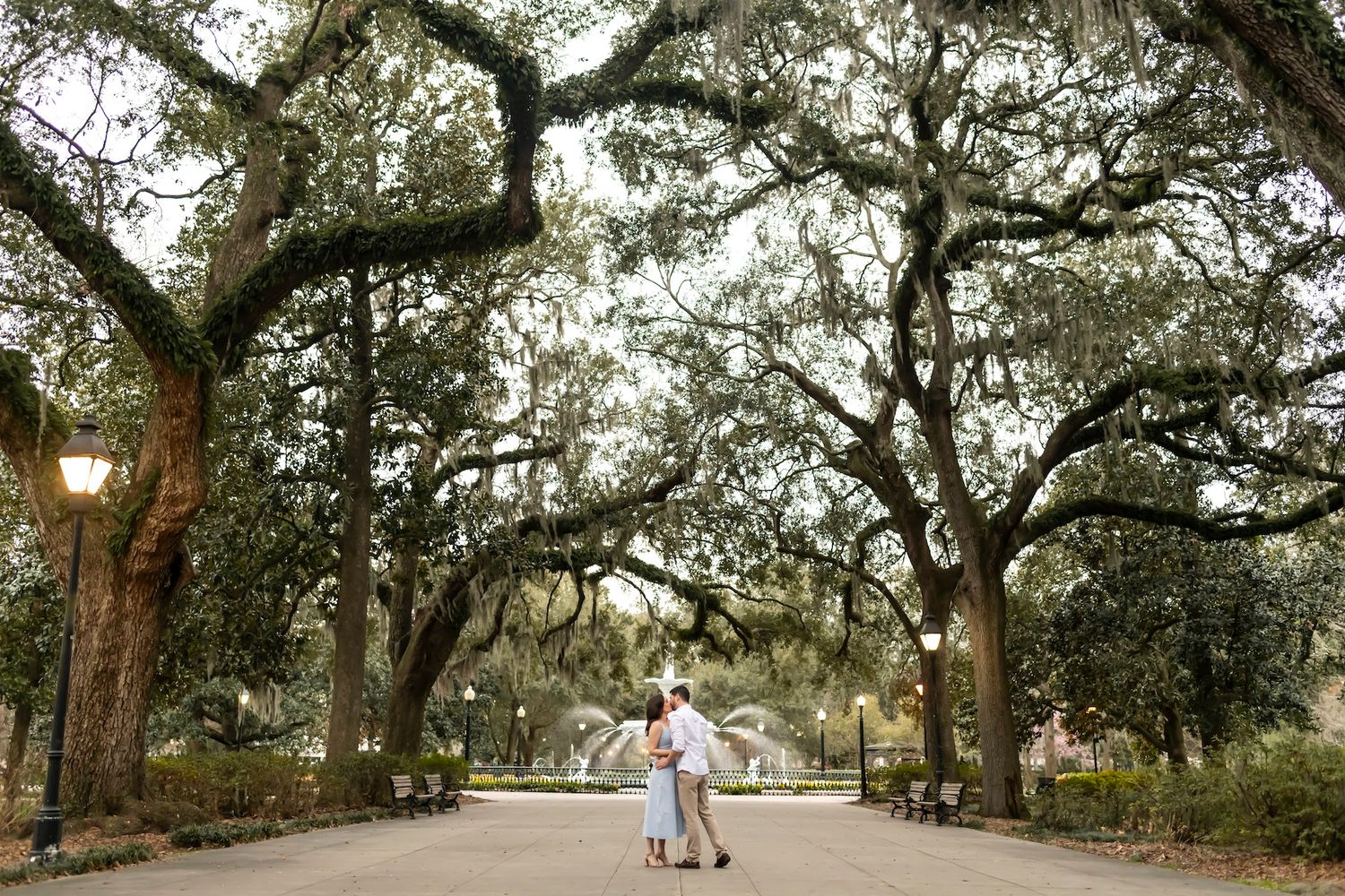 A tree-lined path in a romantic southern park with Spanish moss draping over ancient oaks.