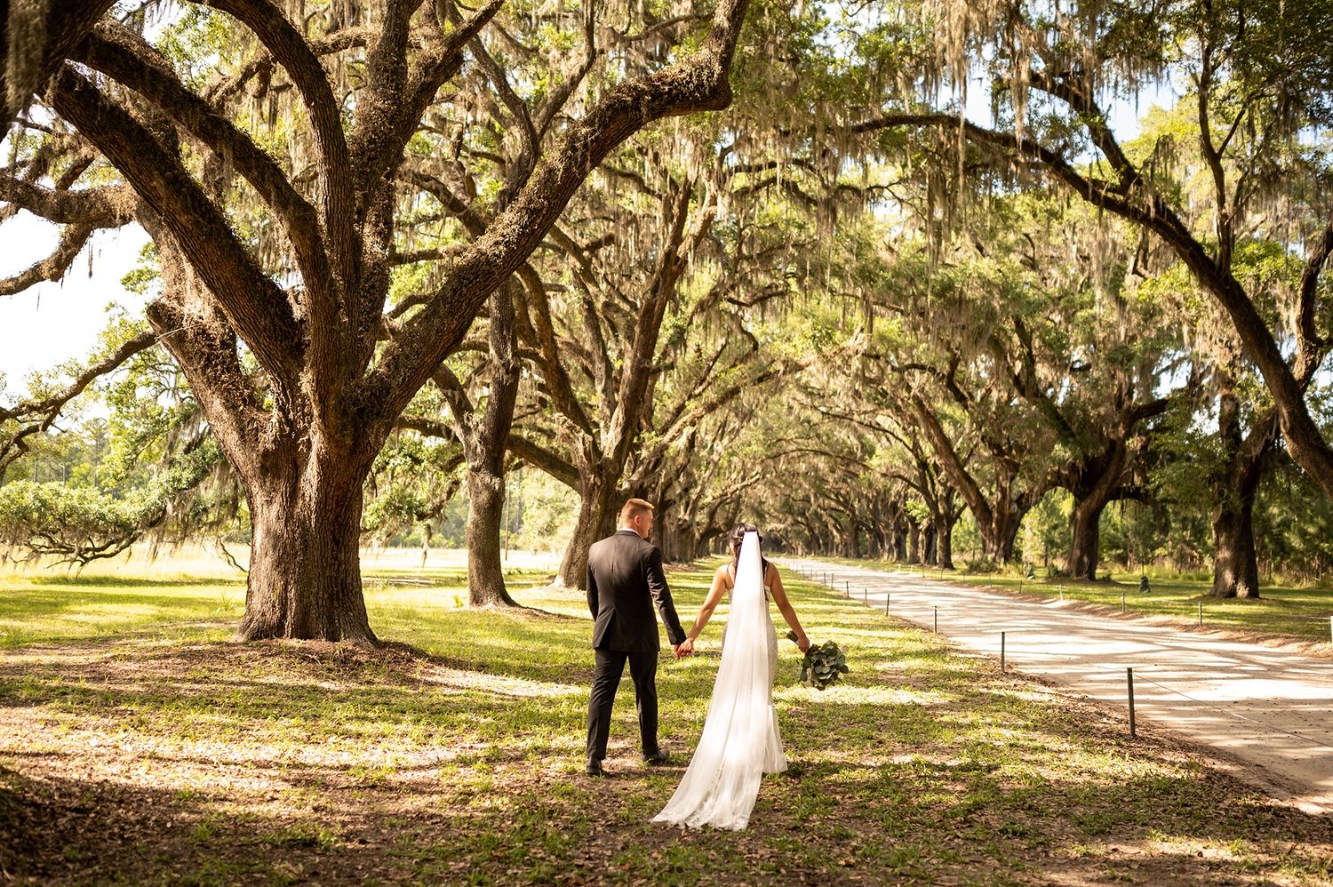 Spanish moss drapes over live oak trees along a scenic pathway on a sunny day in the American South.