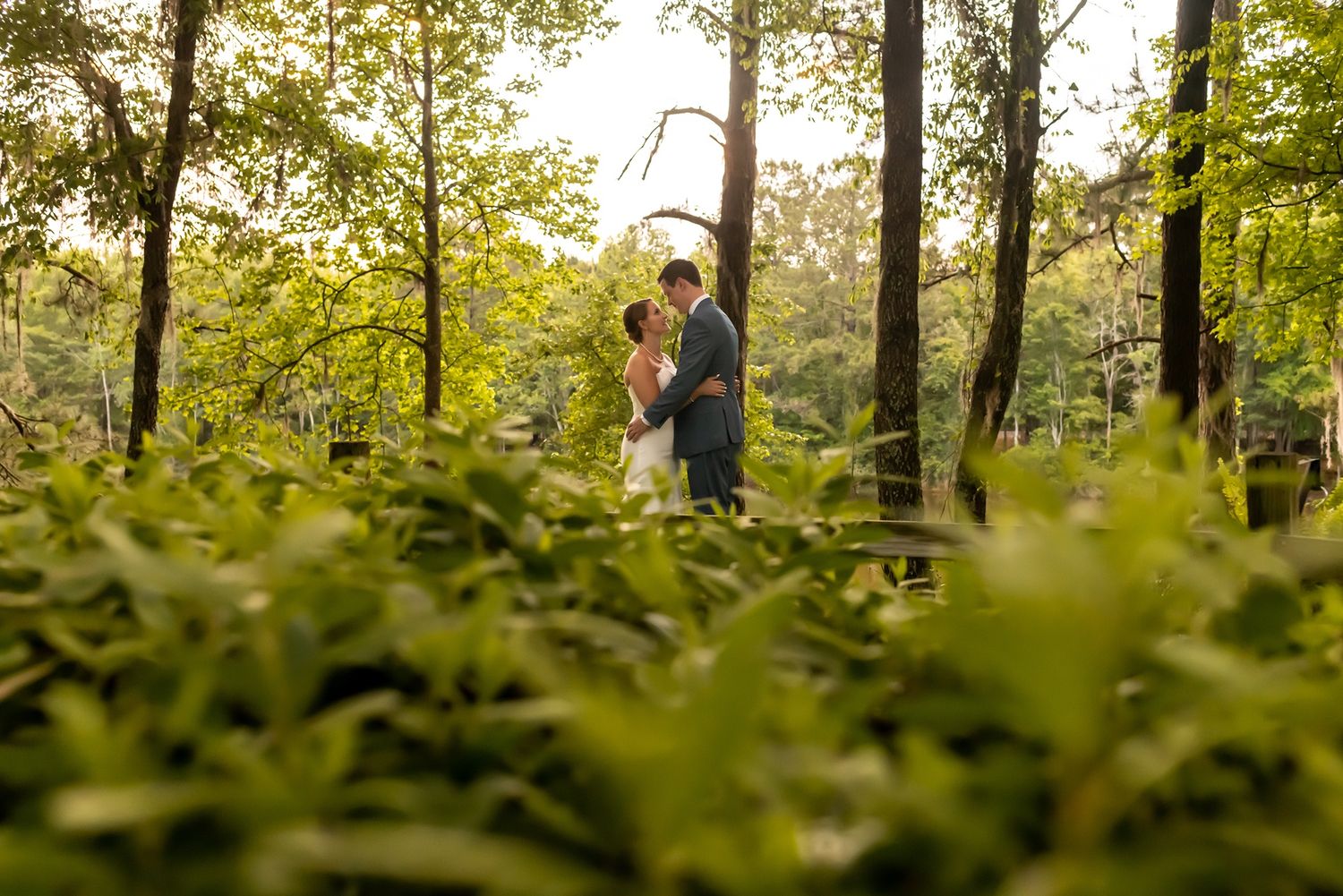 Two people embrace in a romantic woodland setting with sunlight filtering through trees and lush green foliage in foreground.