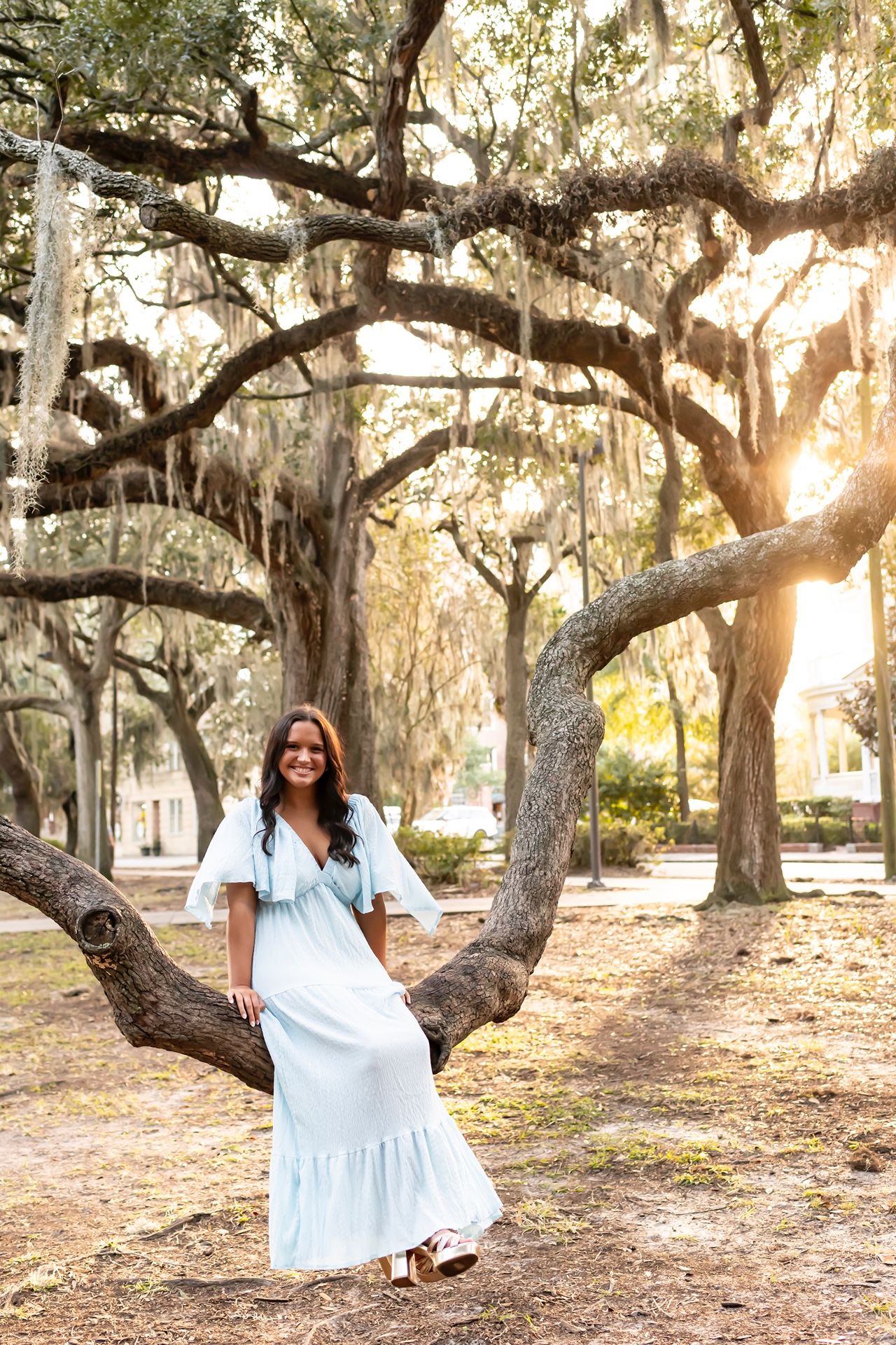 Ethereal outdoor photo session under majestic oak trees draped with Spanish moss at golden hour.