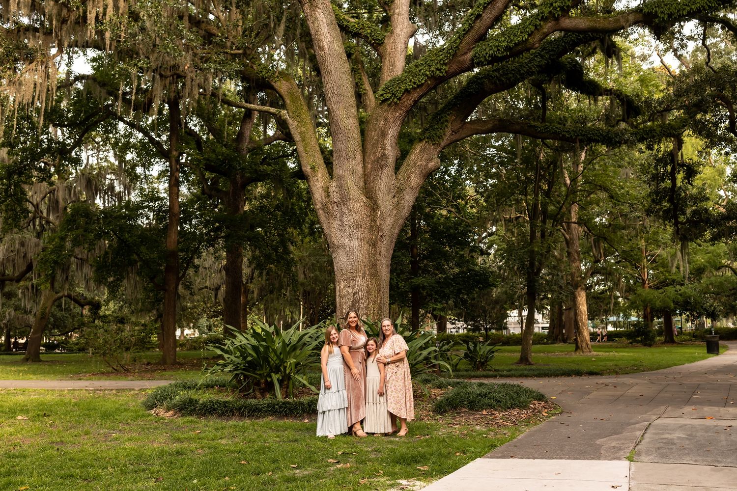 A winding pathway leads past a majestic oak tree with Spanish moss in a lush Southern park.