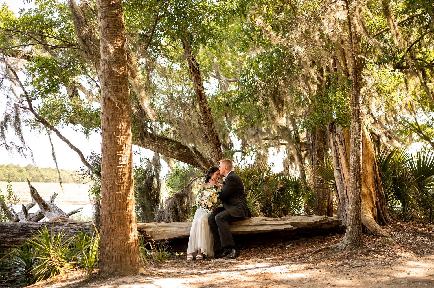 Large eucalyptus trees create a natural archway over a tranquil walking path in a sunny park setting.