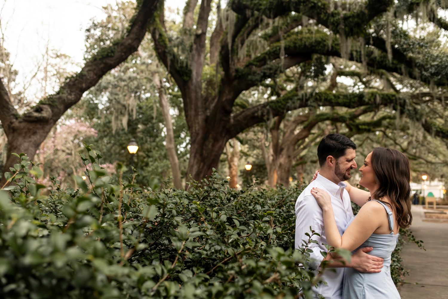 A couple embraces under moss-draped oak trees along a Charleston path surrounded by lush greenery.
