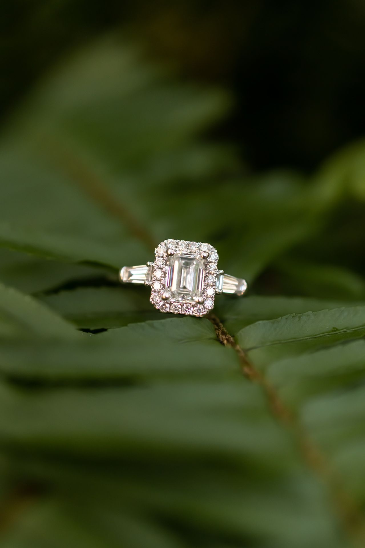 Elegant emerald cut diamond engagement ring with halo design resting on green fern leaves in natural light.