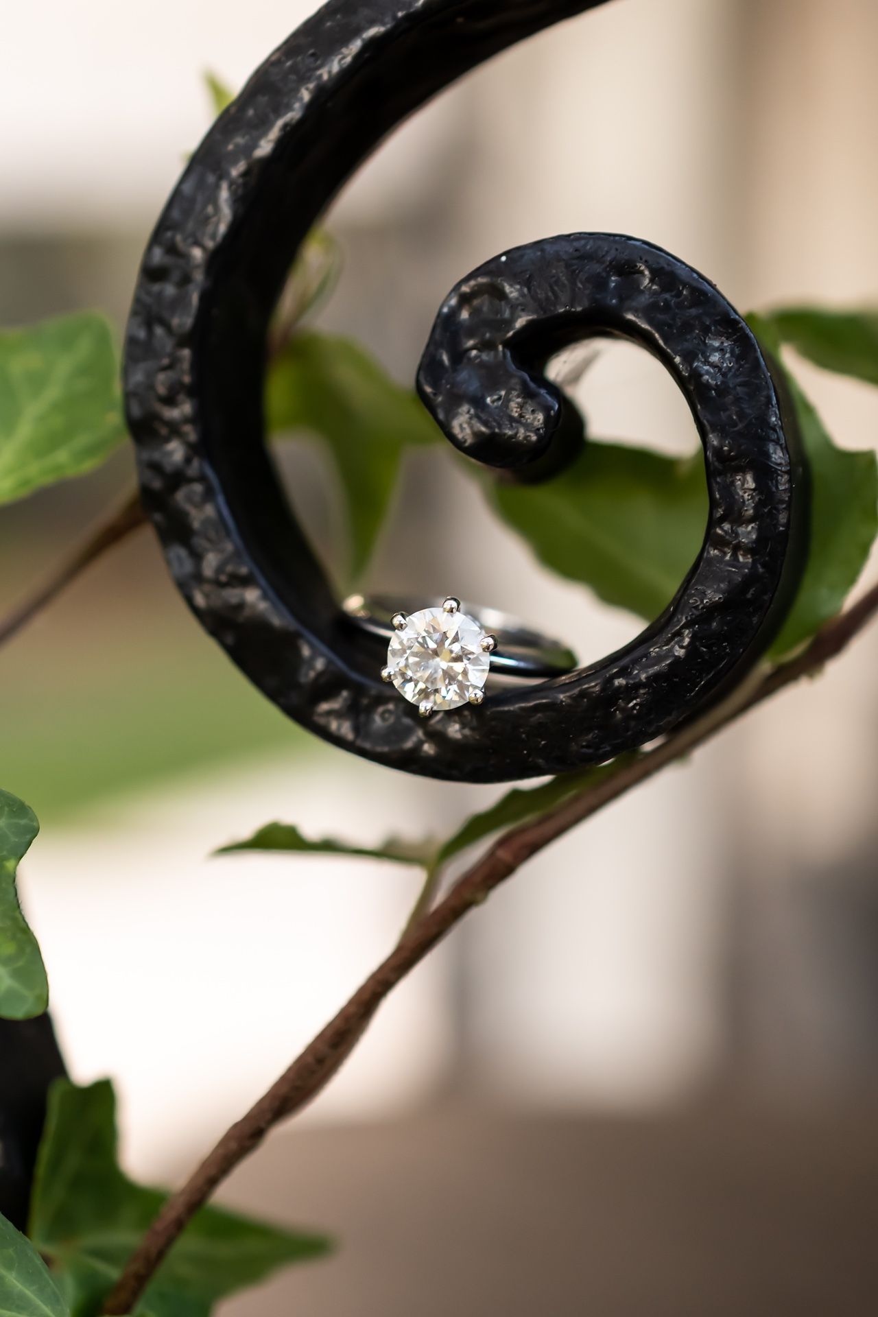 Close-up shot of an engagement ring with diamond solitaire displayed on a black metal curled stand with green leaves in background.