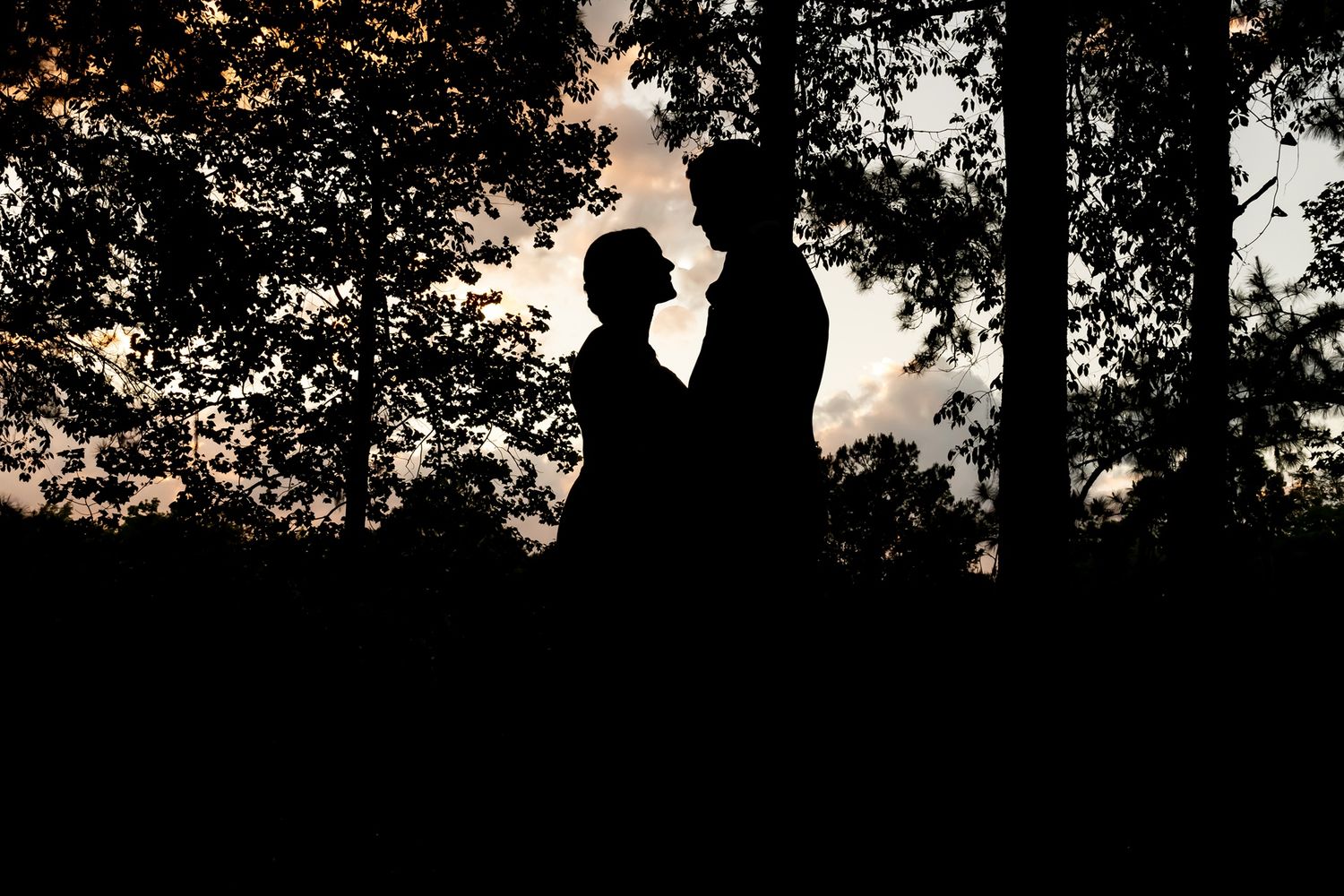 Silhouette of two people embracing against a dusky forest background with trees and twilight sky.