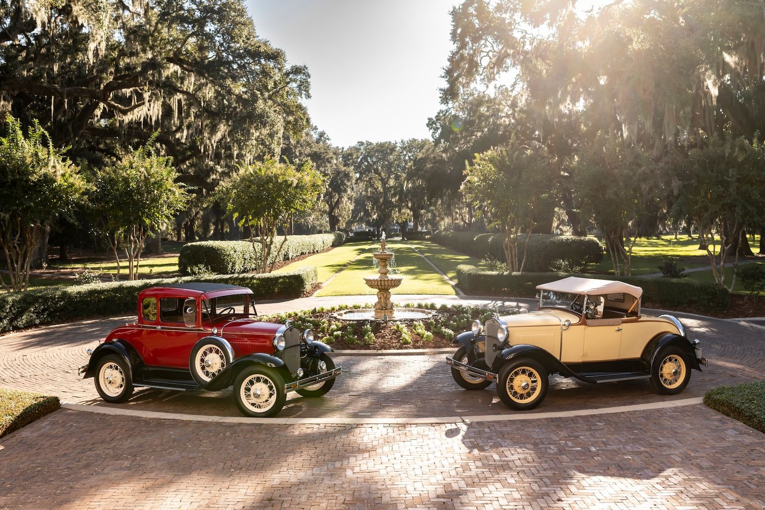 Classic vintage automobiles lined up and parked on a tree-lined street during a sunny afternoon display.