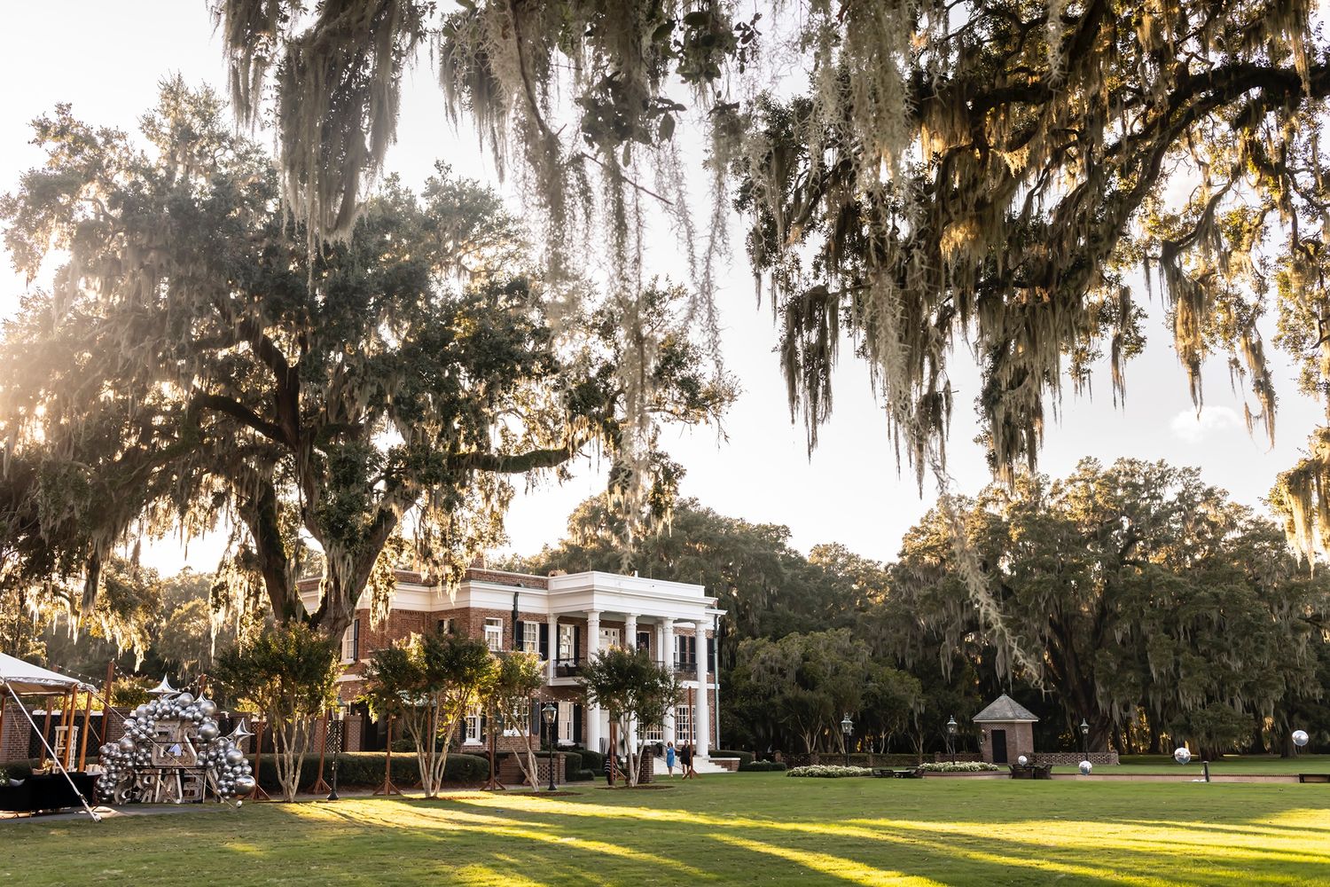 Spanish moss drapes elegantly from oak trees along a scenic golf course fairway at sunset.