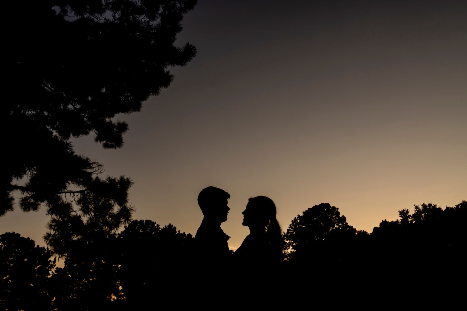 A romantic silhouette of two people's profiles against a dusky sunset sky with trees in the background.