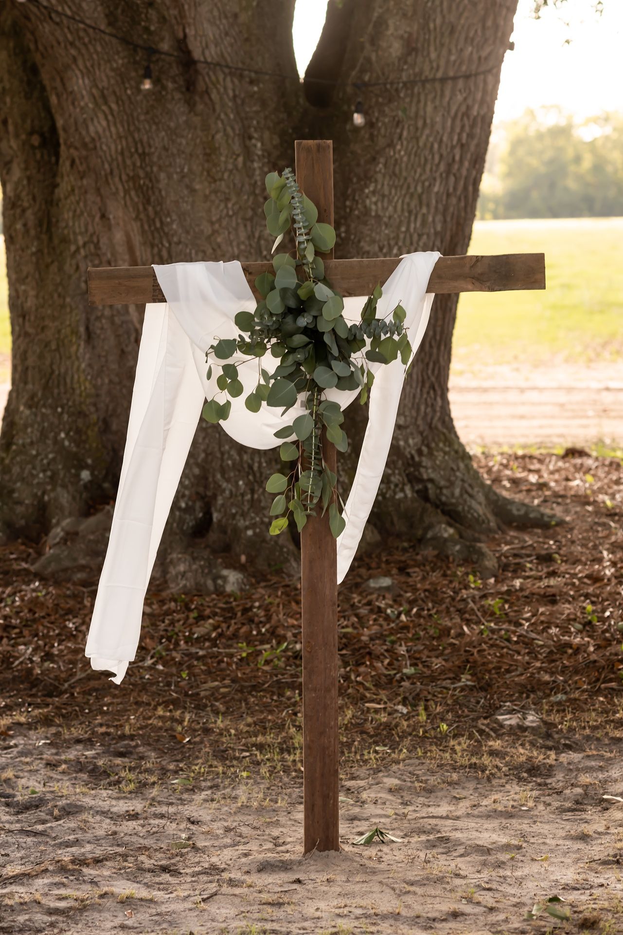 An outdoor scene showing a row of wooden crosses mounted to large tree trunks with green vines along a dirt path.