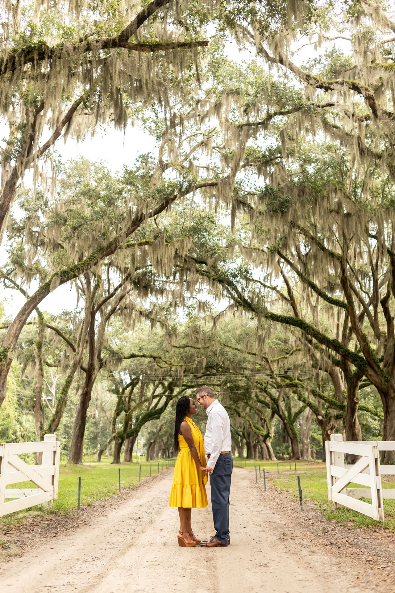 A private dirt road lined with moss-draped oak trees and white fencing leads through a scenic southern landscape.