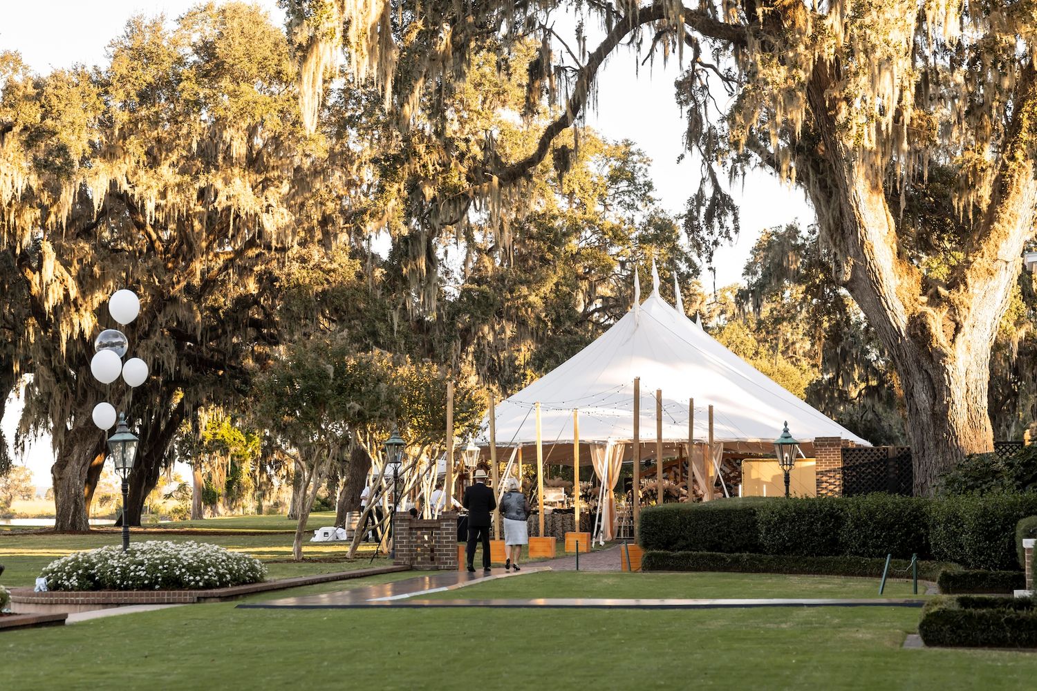 A white wedding tent set up on a manicured lawn beneath spanish moss-draped oak trees at sunset.