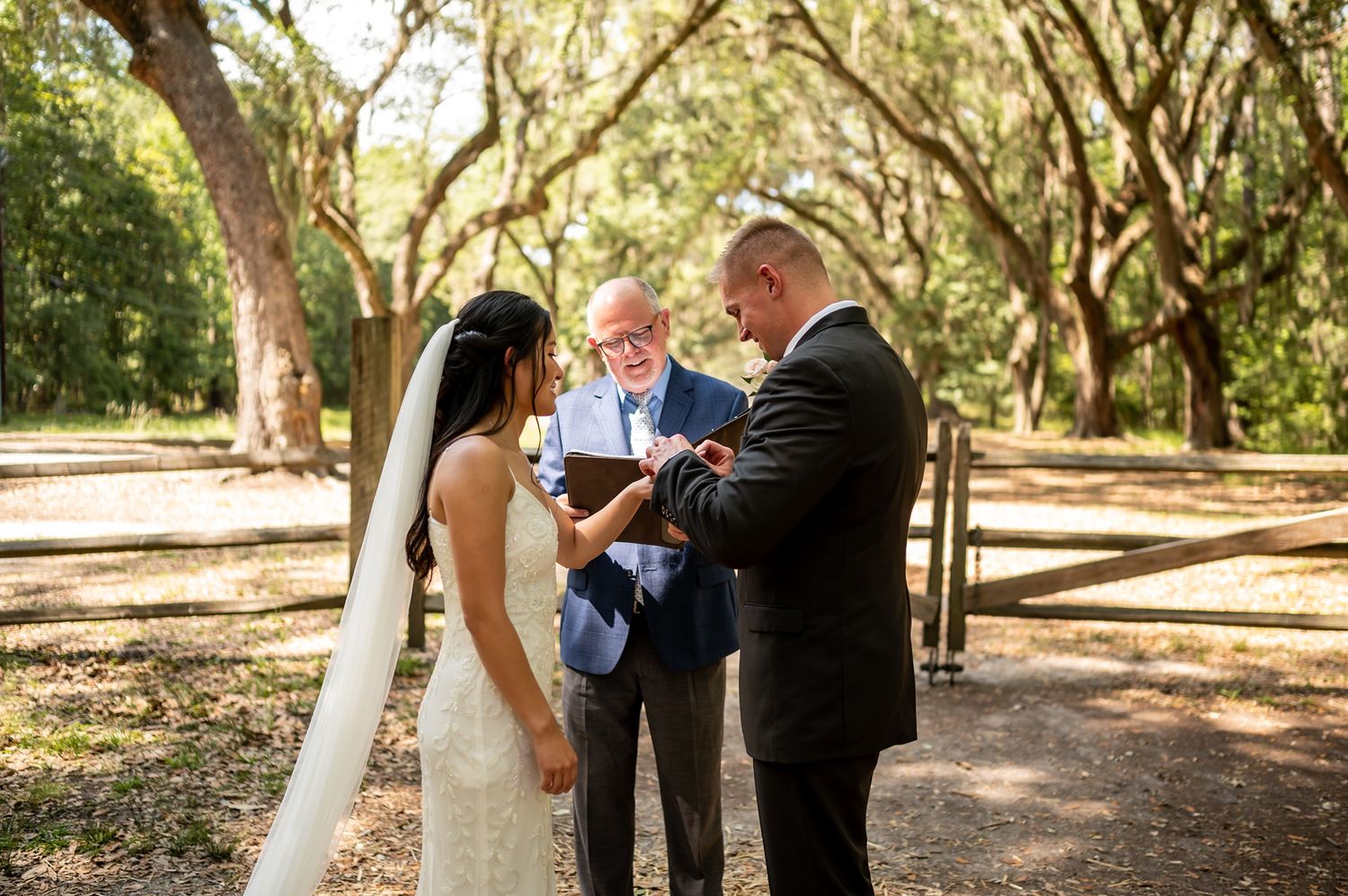 An intimate wedding ceremony unfolds beneath a canopy of Spanish moss and oak trees on a natural path.
