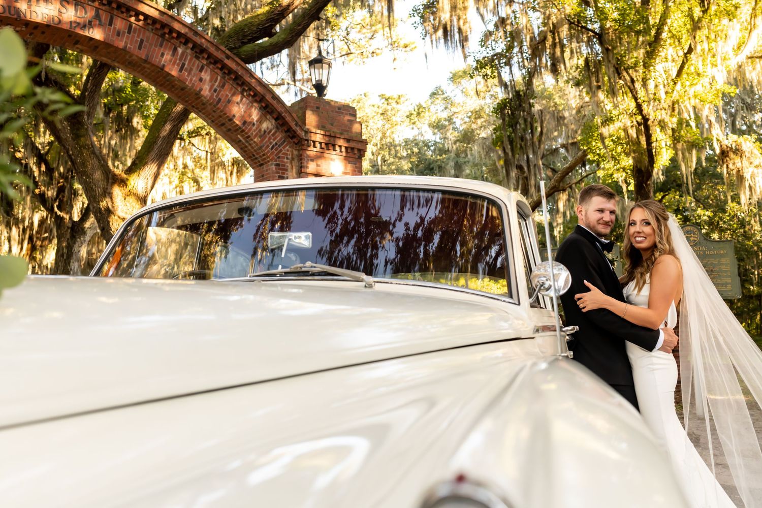 A unique perspective of modern wedding photography depicting a cascading veil amidst trees on a sunny day.