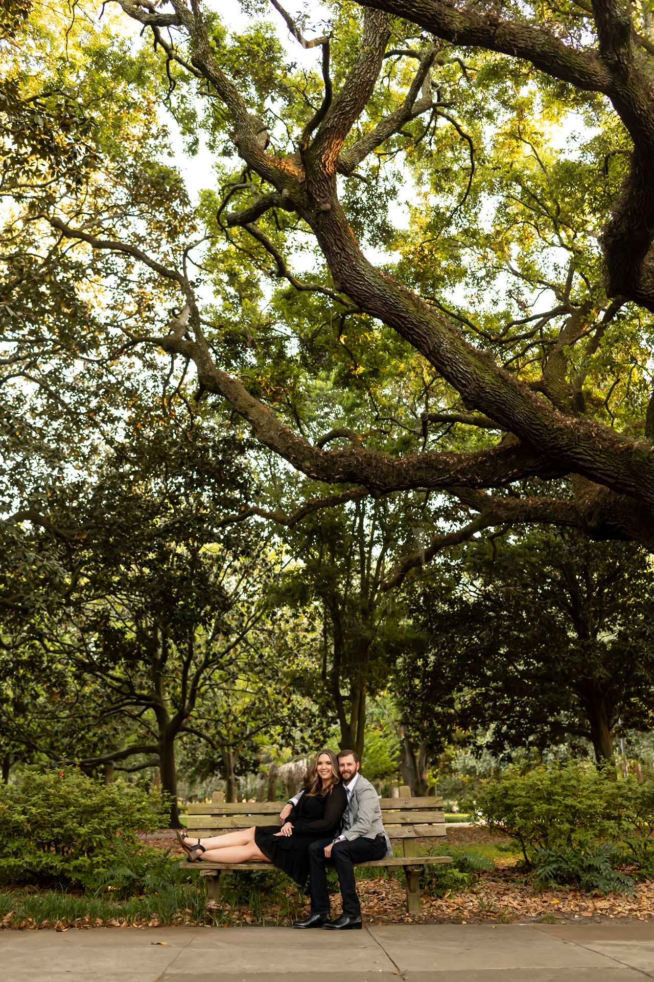 People relaxing beneath sprawling tree branches in an autumn park setting during golden hour.