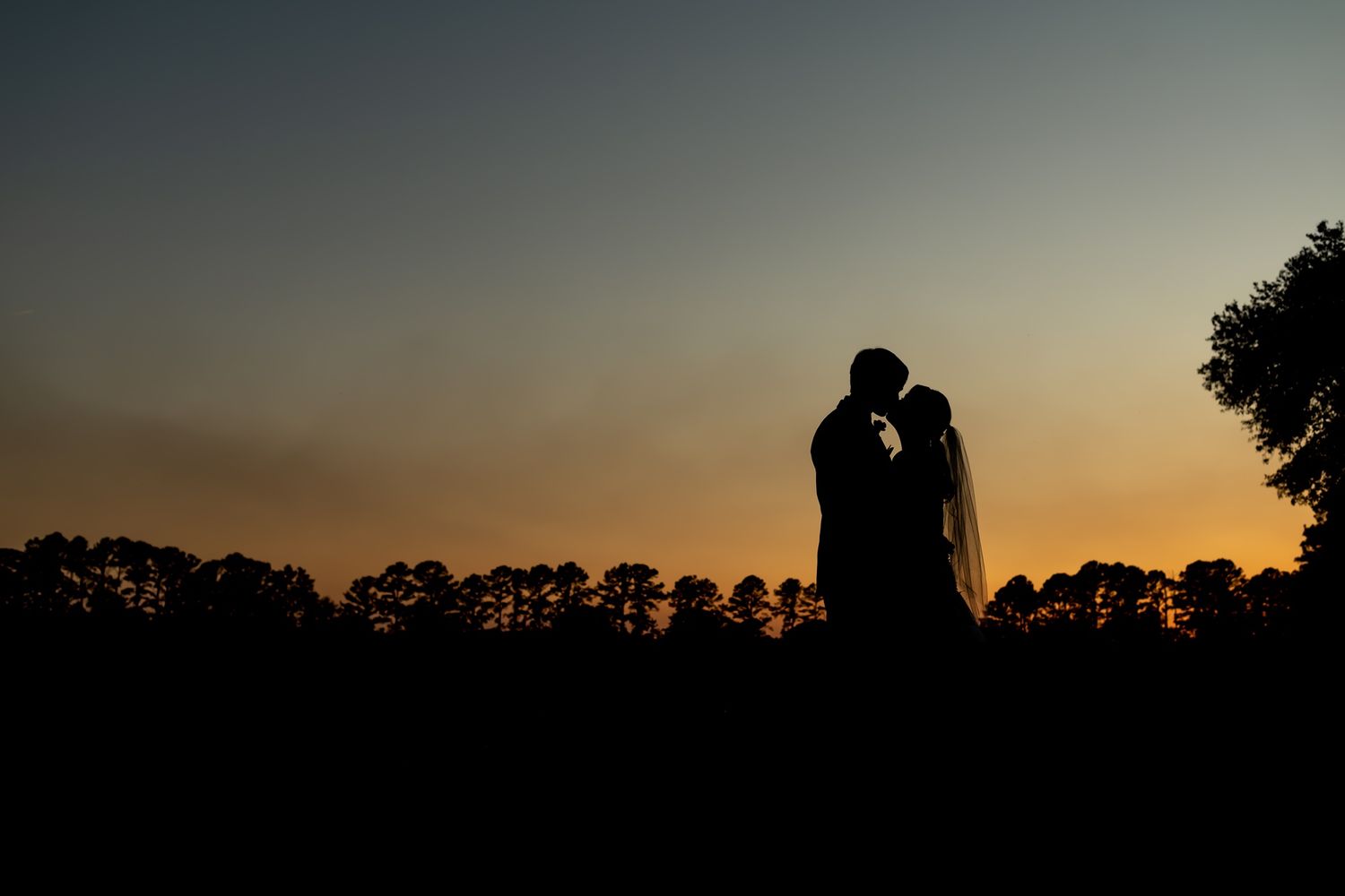 A romantic silhouette of a couple embracing against a warm sunset sky with trees on the horizon.