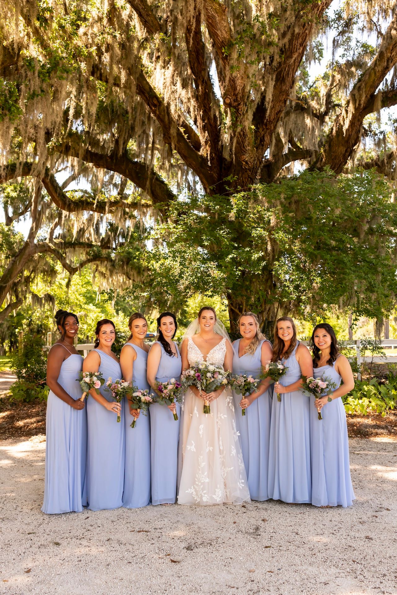 Group in matching light blue full-length bridesmaid dresses and white wedding gown pose under Spanish moss draped oak trees.