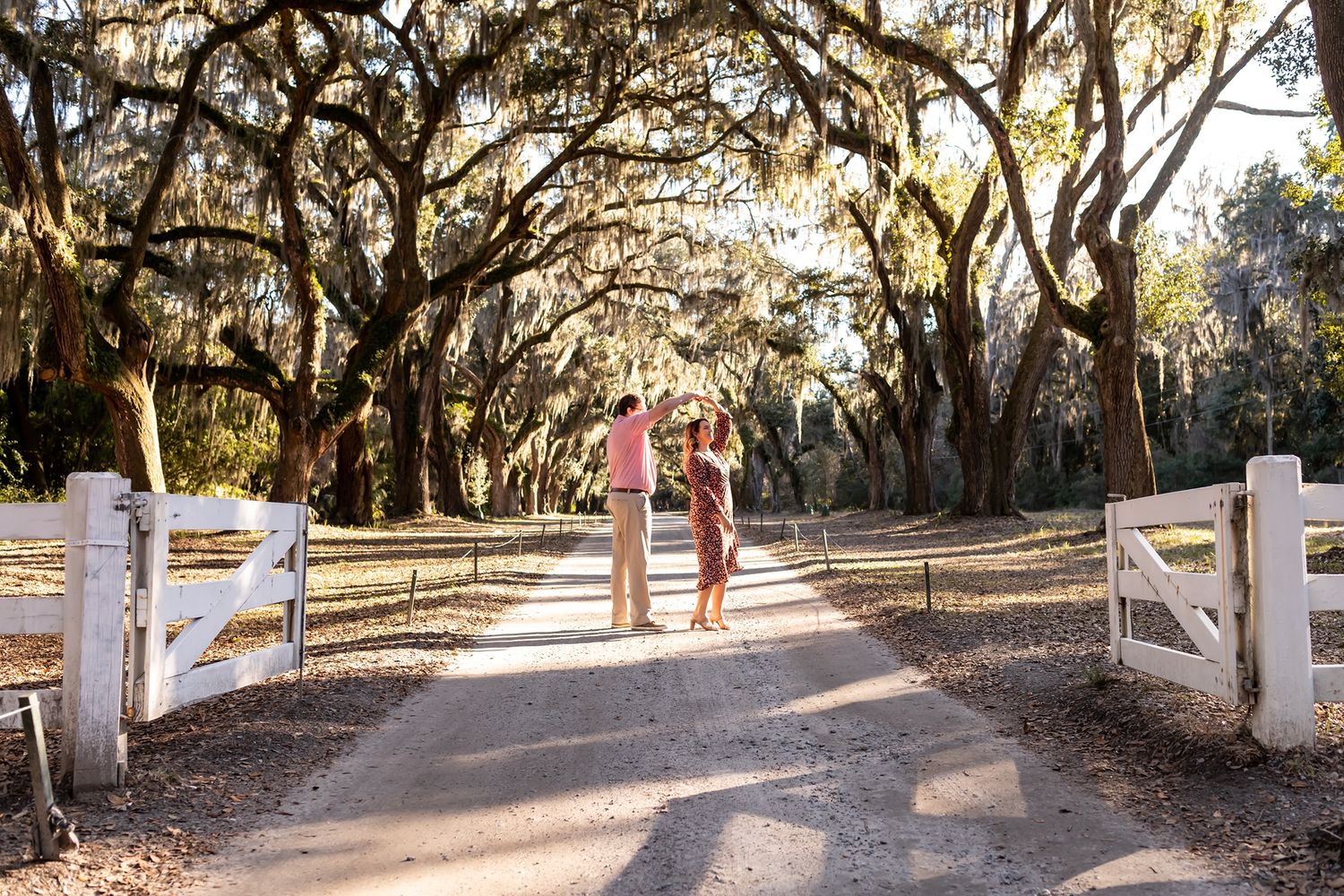 A scenic tree-lined dirt path with white gates leads through Spanish moss draped oak trees at sunset.