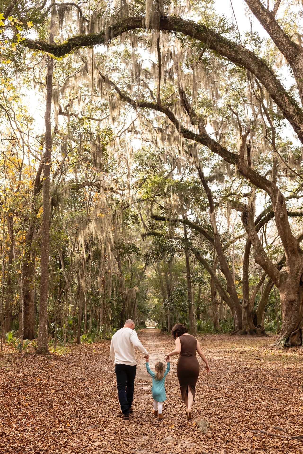 Three people walk down a tree-lined path covered in fallen leaves beneath Spanish moss draped oak trees.