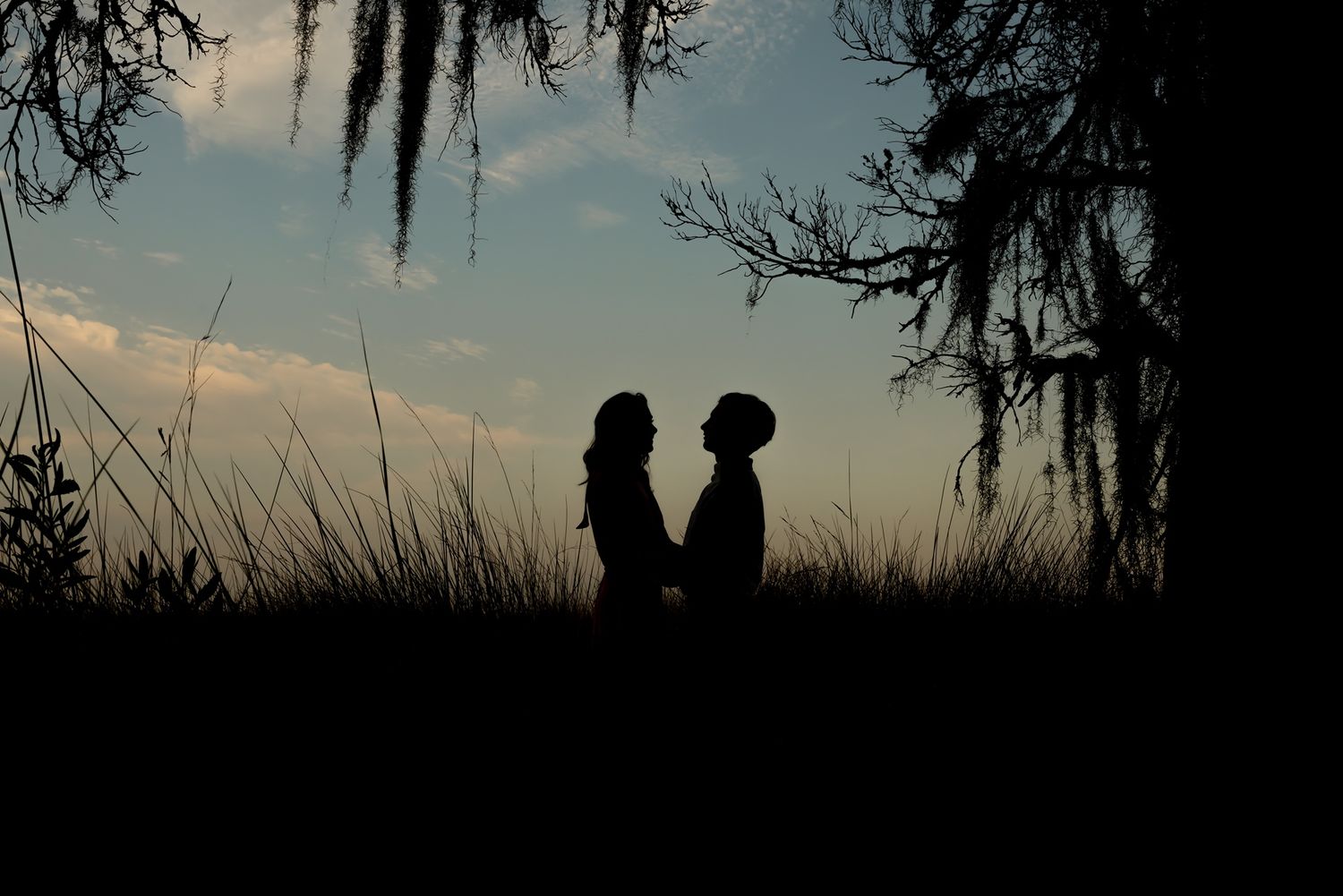 Silhouettes of two people standing together at sunset with Spanish moss hanging from trees in the background.