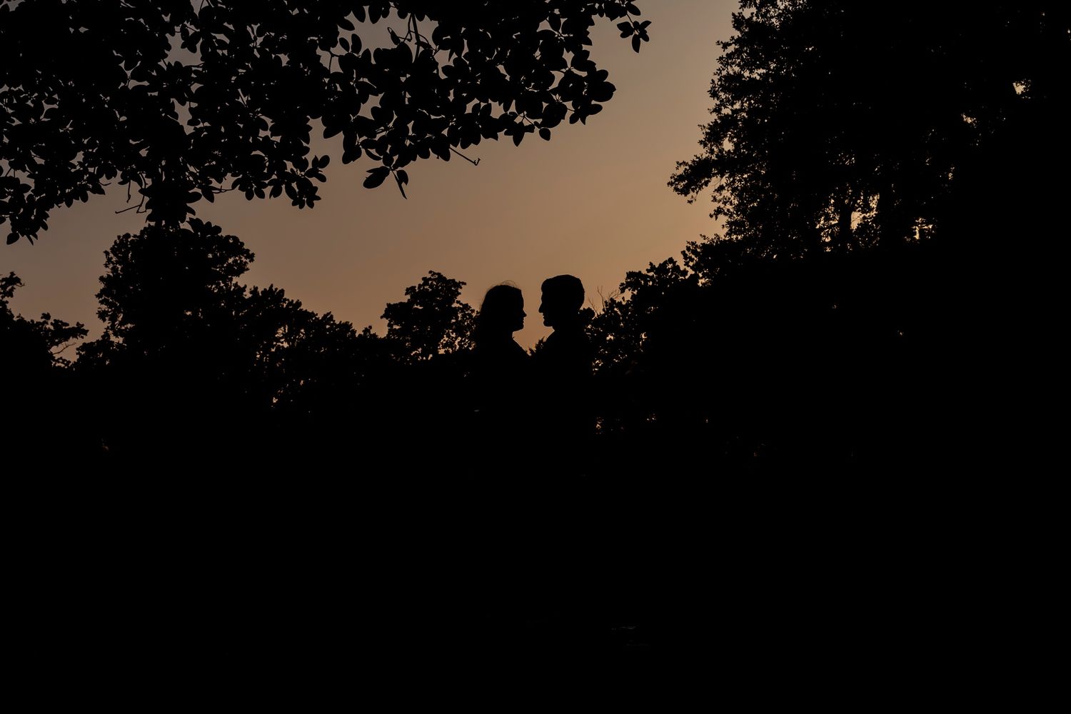 Dark silhouette of a forest treeline against a dusky brown evening sky at sunset.