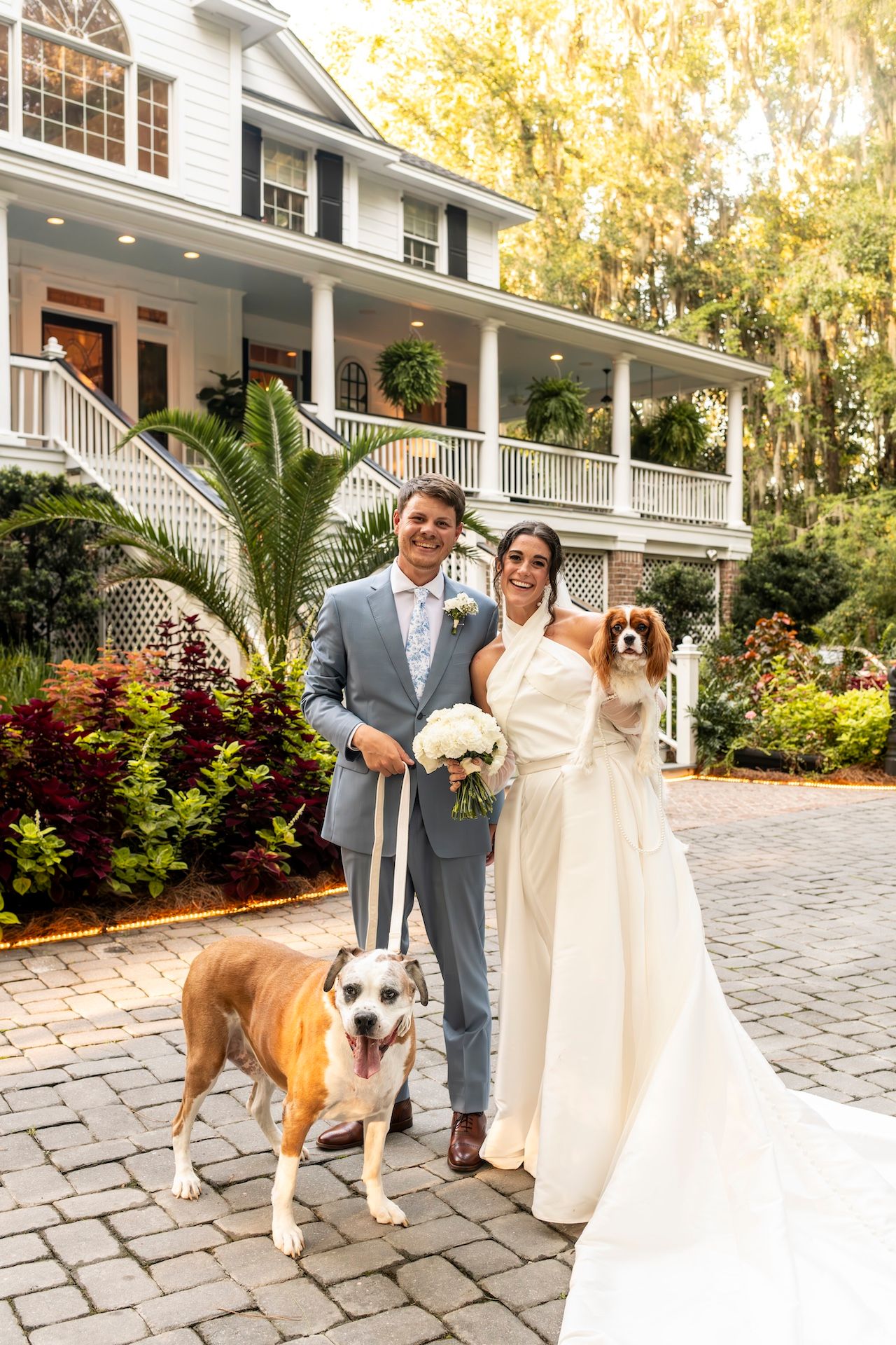 Elegant wedding couple in gray suit and white dress pose with their two dogs on a porch of a Southern plantation-style home.