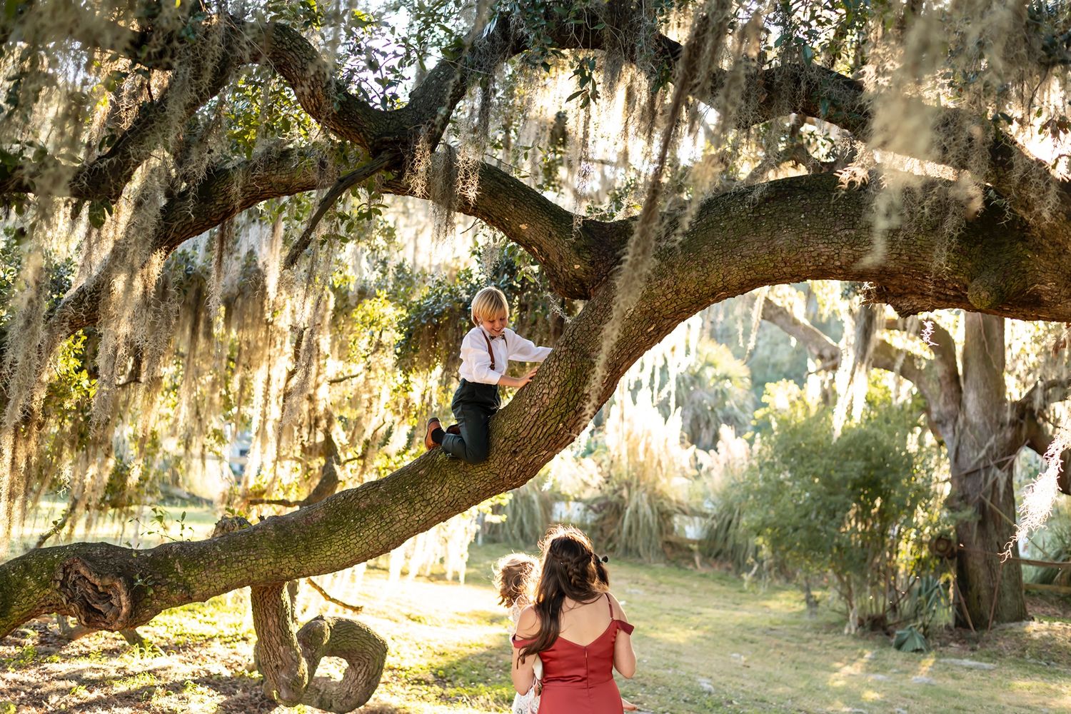 People enjoy a sunny afternoon beneath Spanish moss draped oak trees in a dreamy southern landscape.