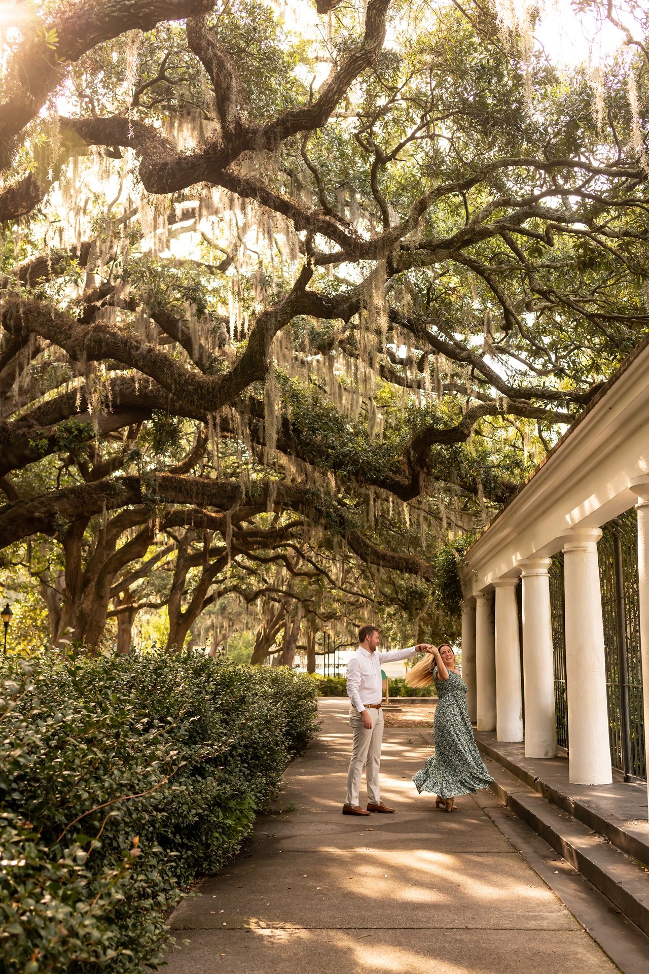 A sunlit pathway with white columns and moss-covered oak trees creates a romantic Southern atmosphere.
