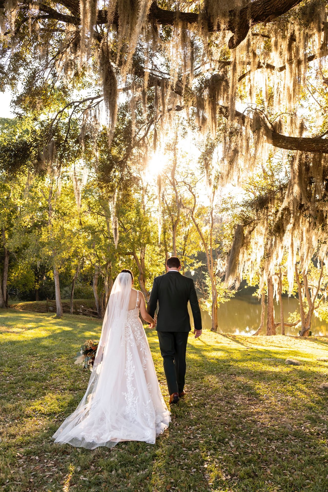 A romantic wedding couple walks through a sunlit Spanish moss-draped landscape at golden hour.