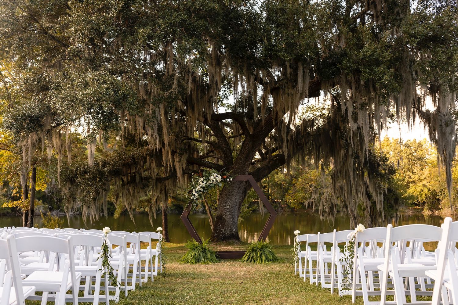 Spanish moss drapes over a scenic outdoor wedding ceremony setup with white chairs arranged in rows under oak trees.