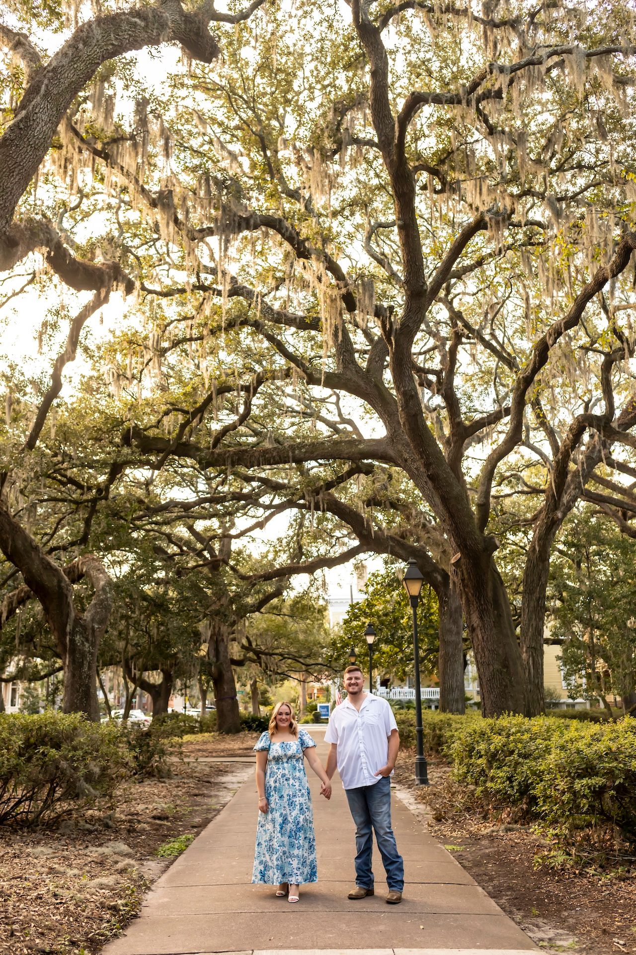 Sunlight filters through Spanish moss hanging from oak trees along a pathway in Forsyth Park in Savannah, Georgia.
