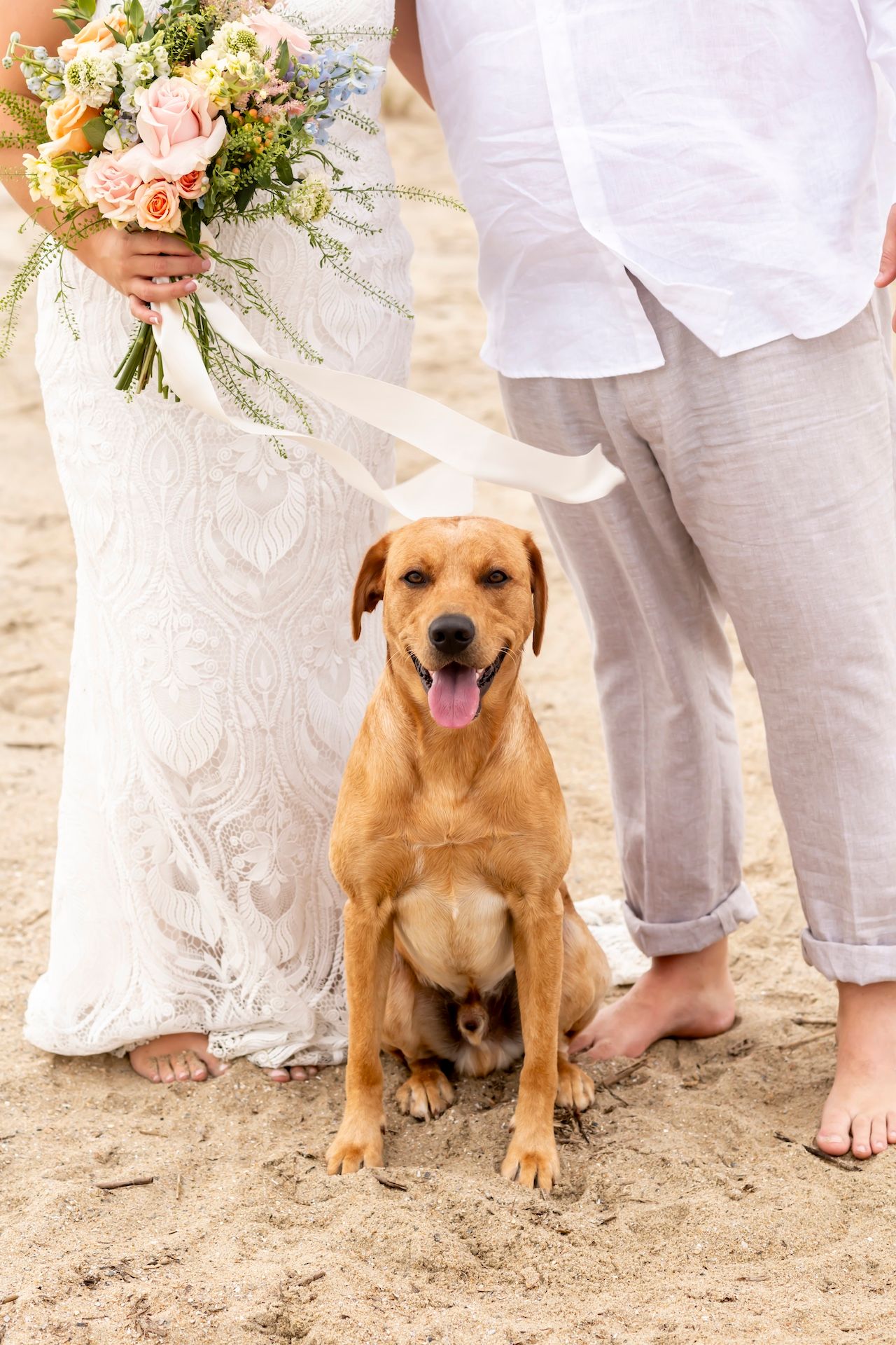 Happy golden retriever dog sits on beach between two people in beach wedding attire with bridal bouquet.