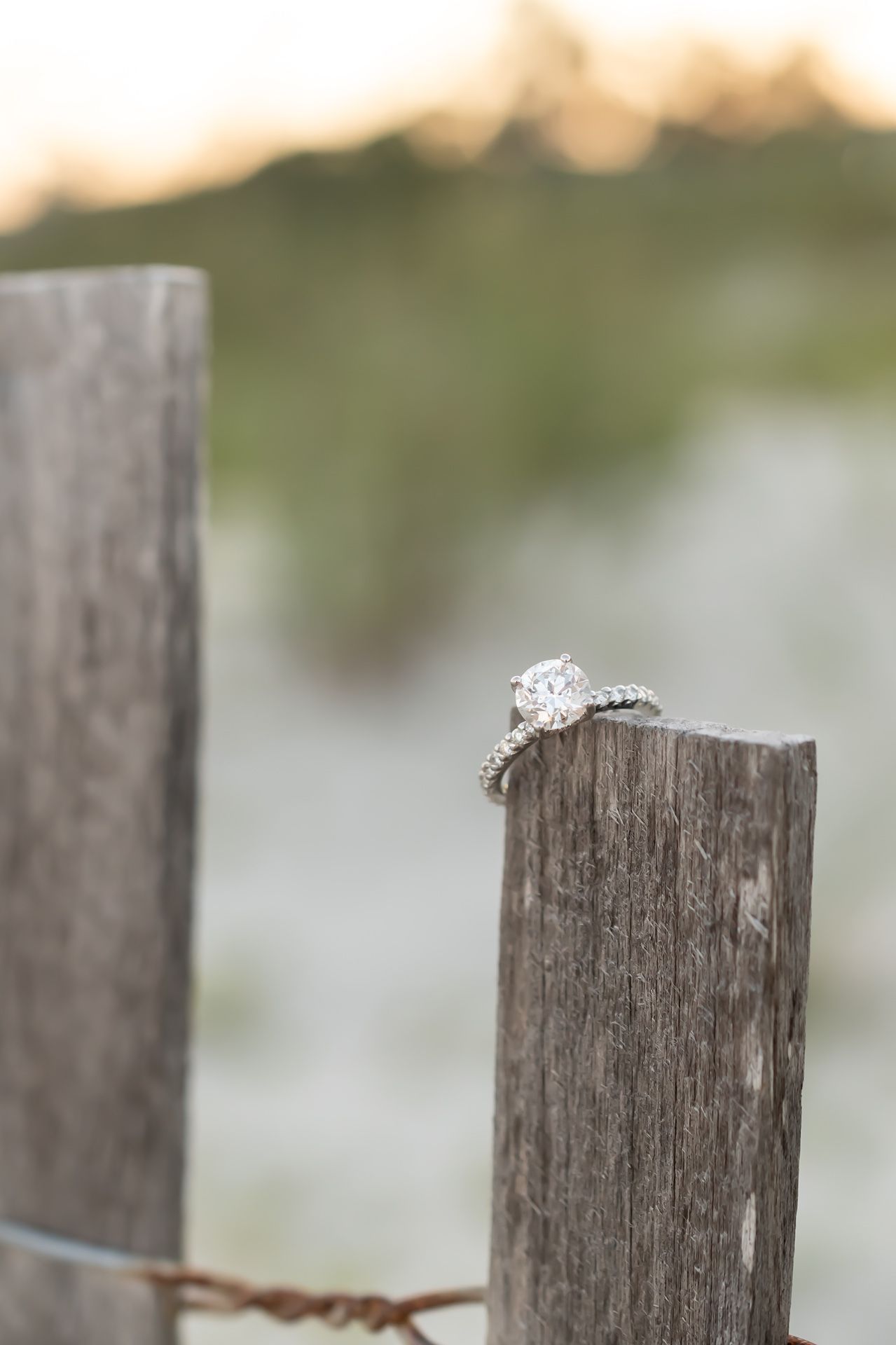 A diamond engagement ring perched atop a weathered wooden fence post with a soft blurred background.