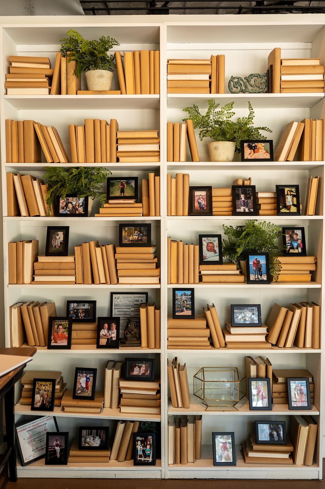 White bookshelf filled with gold-colored books, decorative plants, and framed photographs arranged in an aesthetic display.