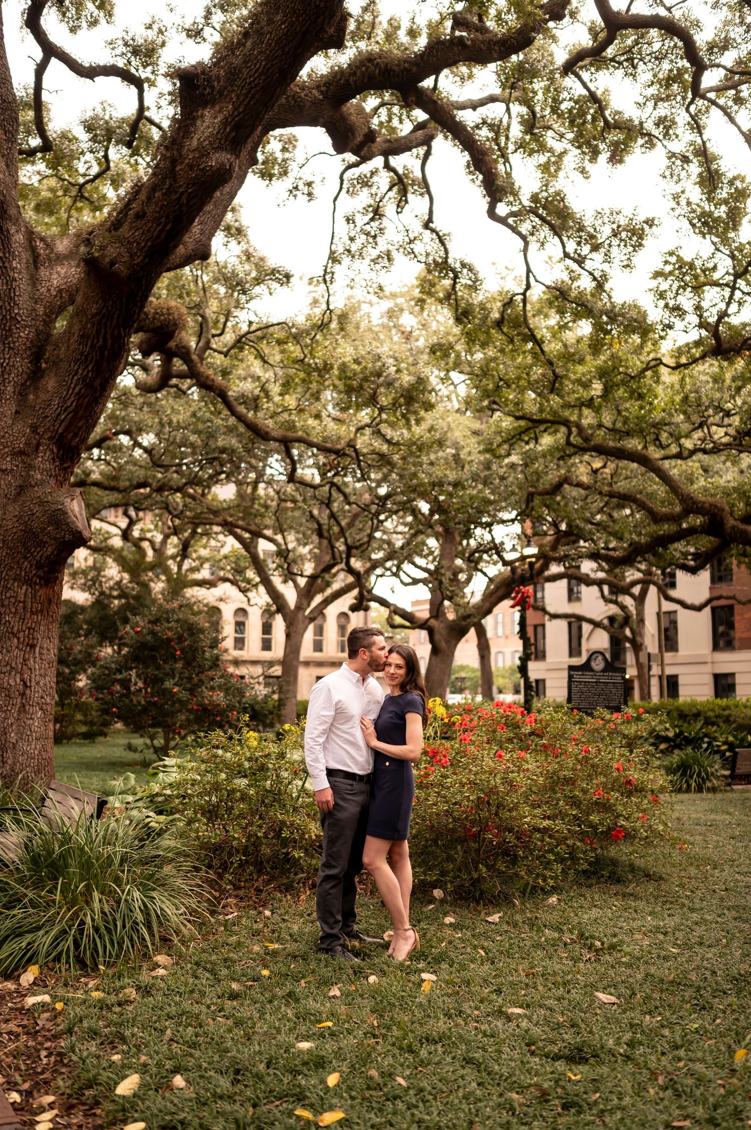 A couple embraces under the canopy of a majestic oak tree in a garden with blooming azaleas at sunset.