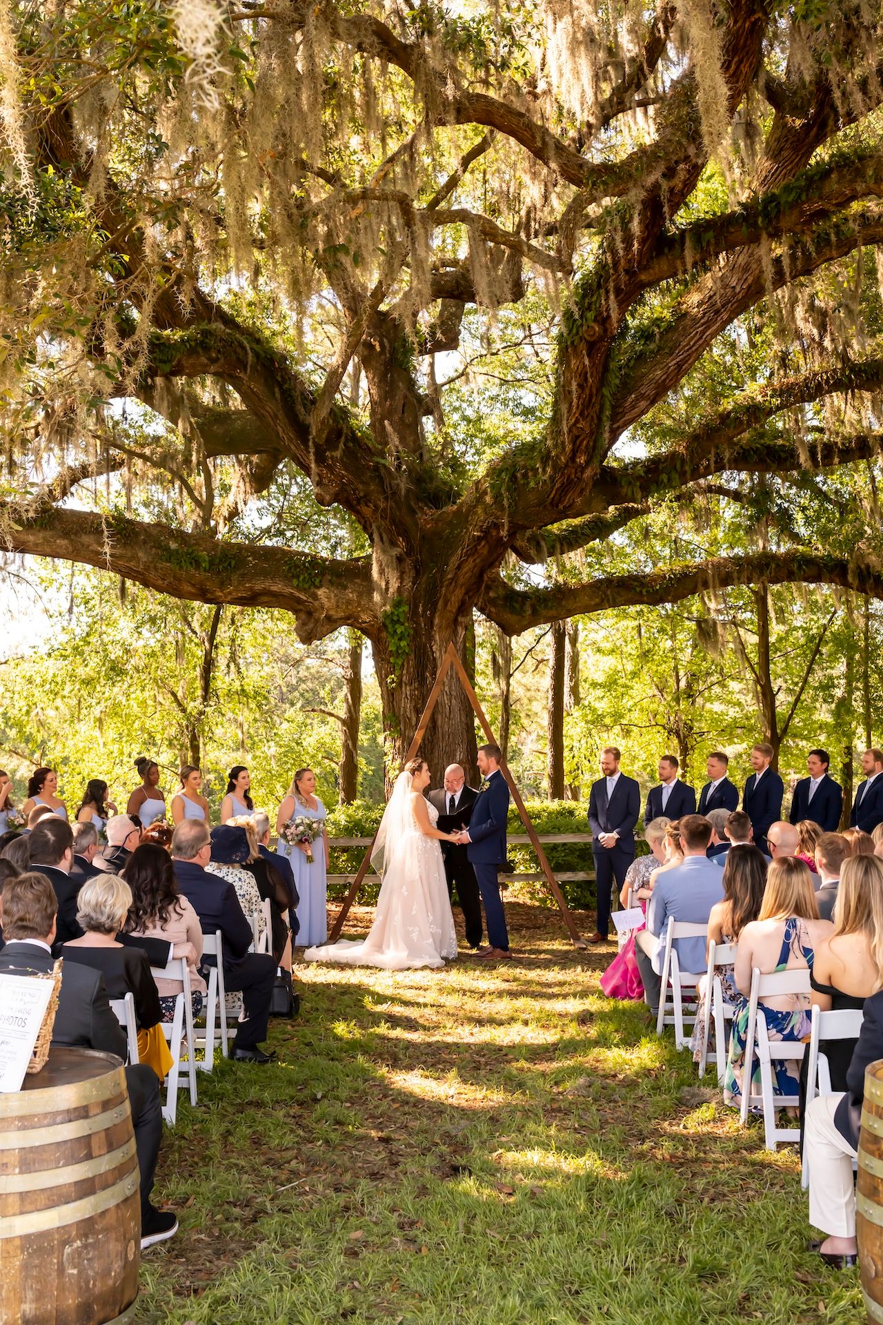 Wedding ceremony under a majestic oak tree draped with Spanish moss as guests watch from white chairs on a sunny afternoon.