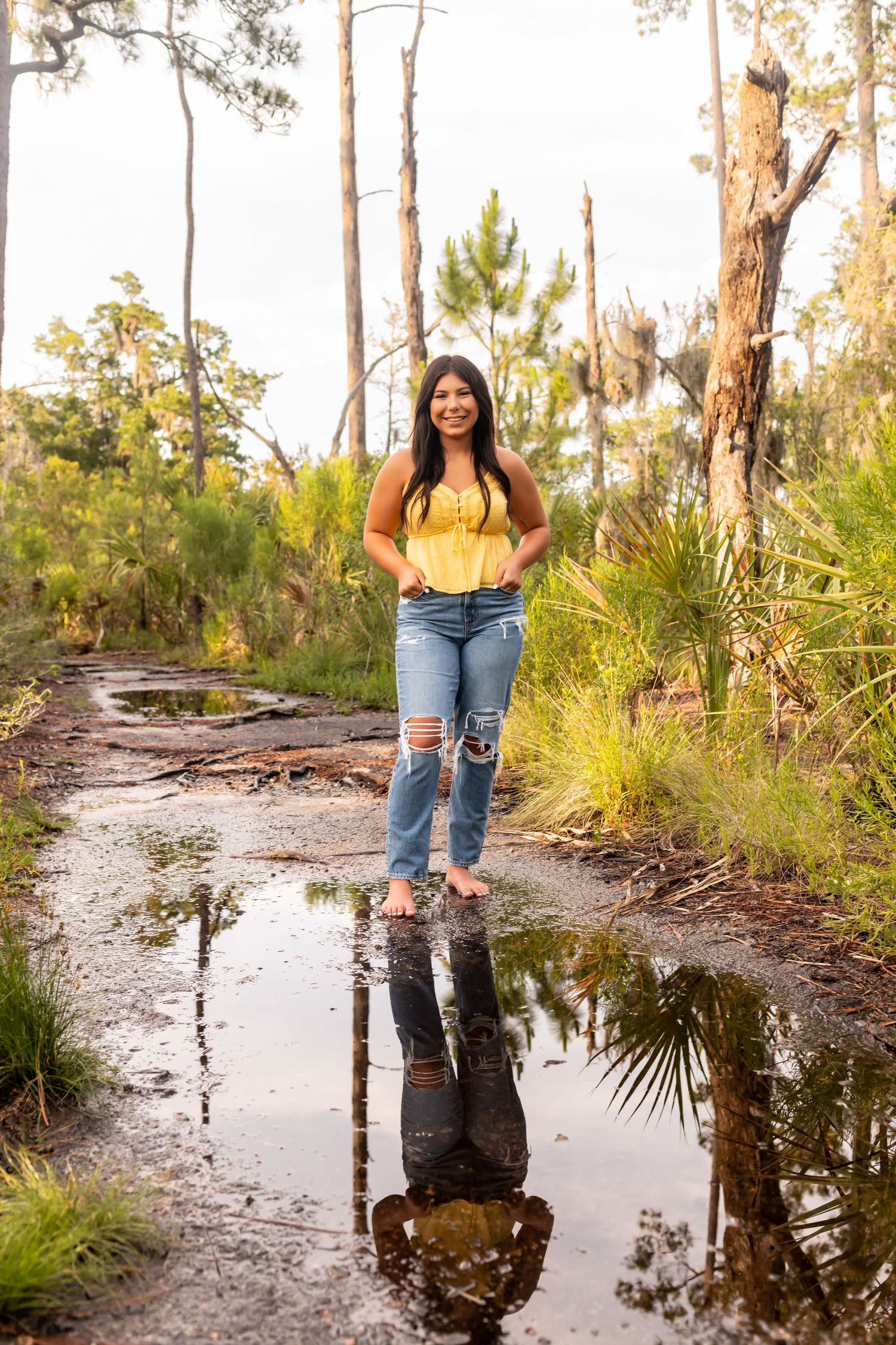 A set of reflective puddles on a nature trail through pine trees captures mirror-like images in the golden hour light.