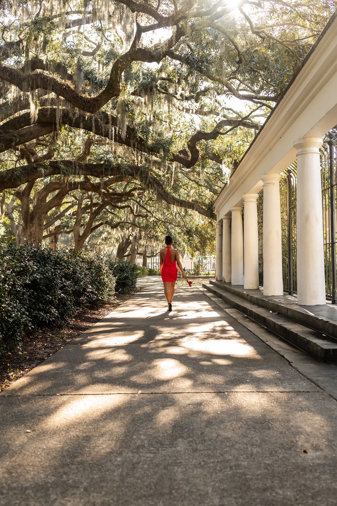 Moss-draped oak trees cast shadows along a walkway with white columns of a southern mansion building in golden sunlight.