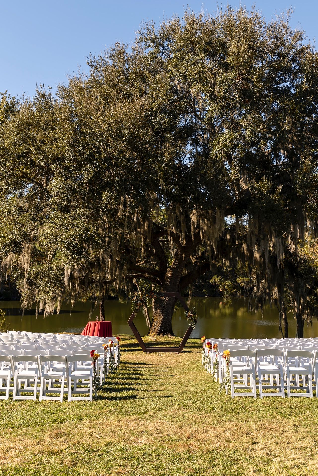 Outdoor wedding ceremony setup with white chairs arranged in rows under a majestic oak tree draped with Spanish moss.