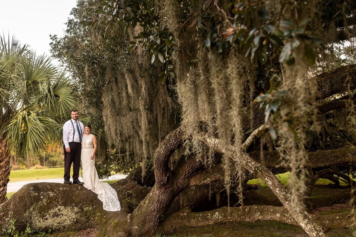 A couple in wedding attire stands beneath majestic Spanish moss-draped live oak trees in a Southern garden setting.