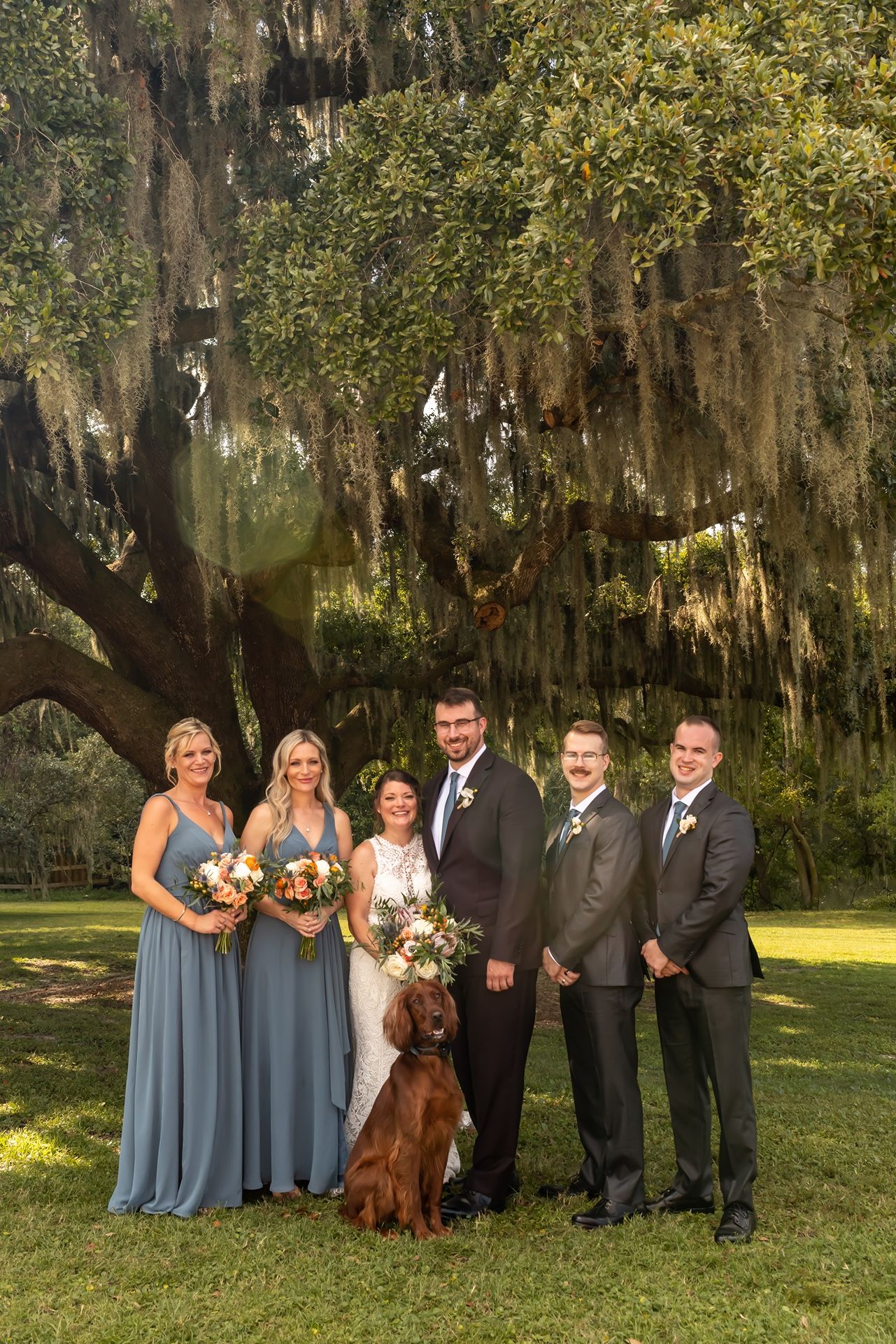 Wedding party poses with a chocolate labrador retriever in a scenic outdoor setting with spanish moss draped trees.