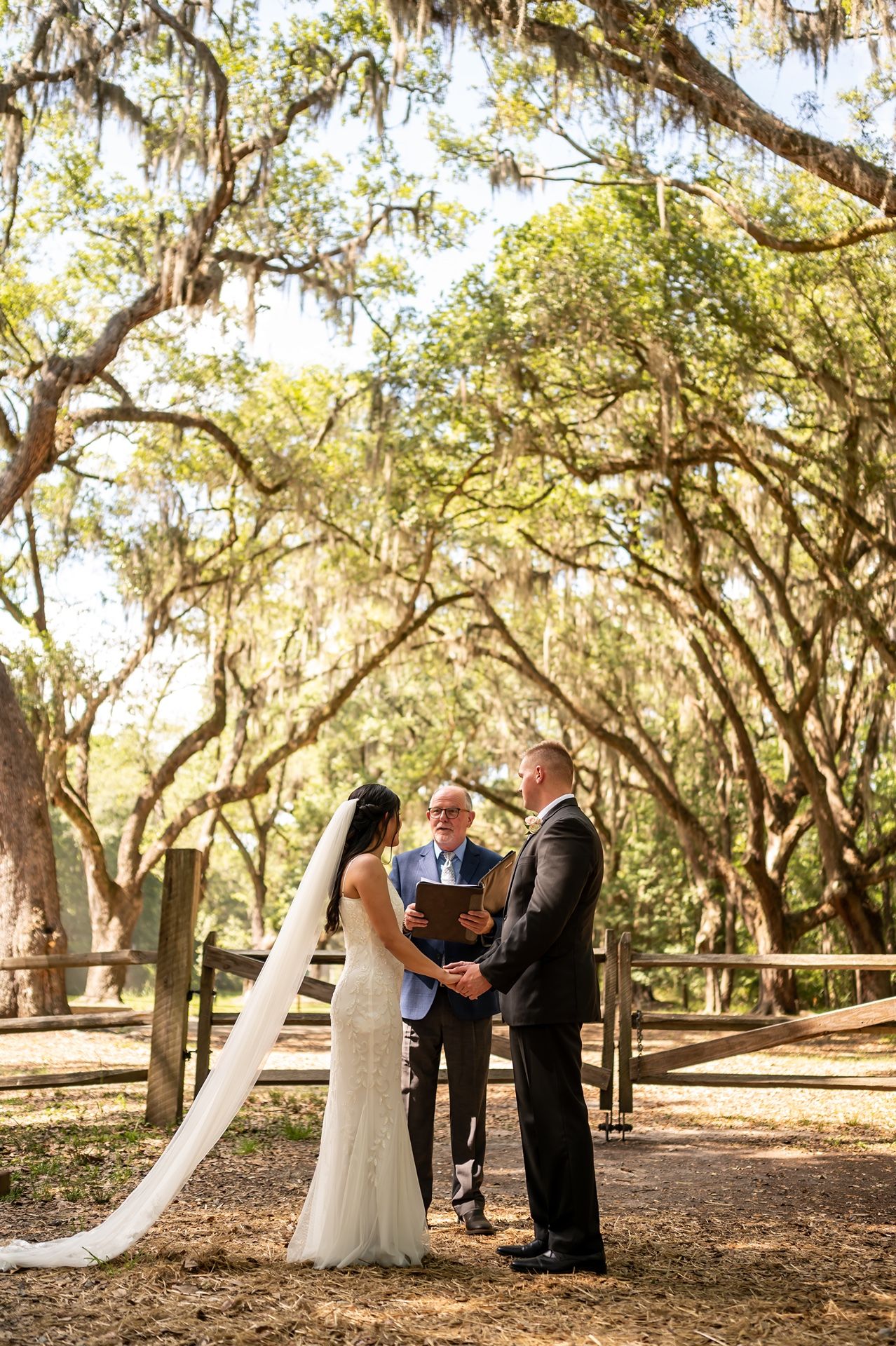 A romantic outdoor wedding ceremony takes place under moss-draped oak trees on a sunlit woodland path.